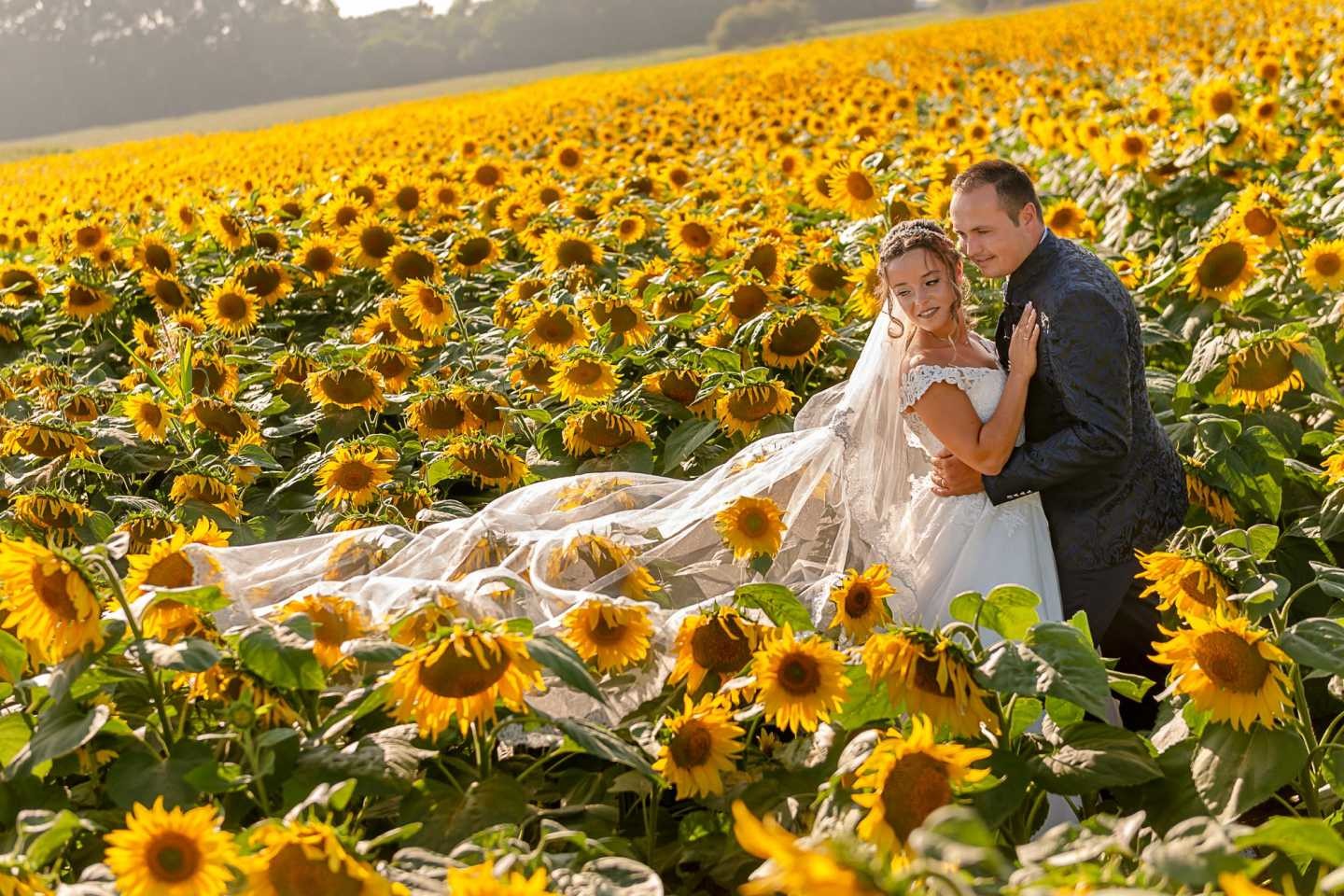 Pós Casamento :: Noivos a darem um abraço no meio dos girassóis