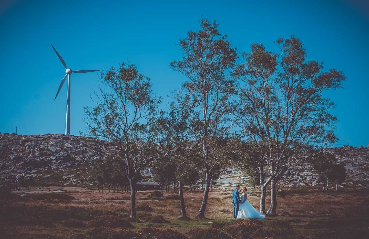 Noivos em volta de árvores a olharem um para o outro de mãos dadas