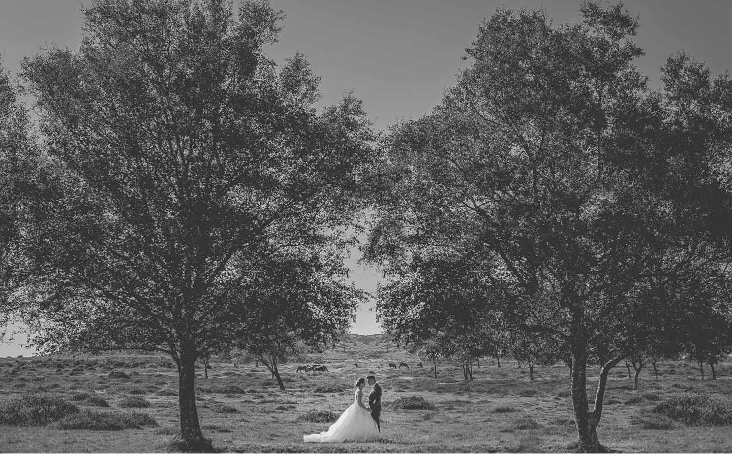 Noivos a beira da árvore encostando a cabeça