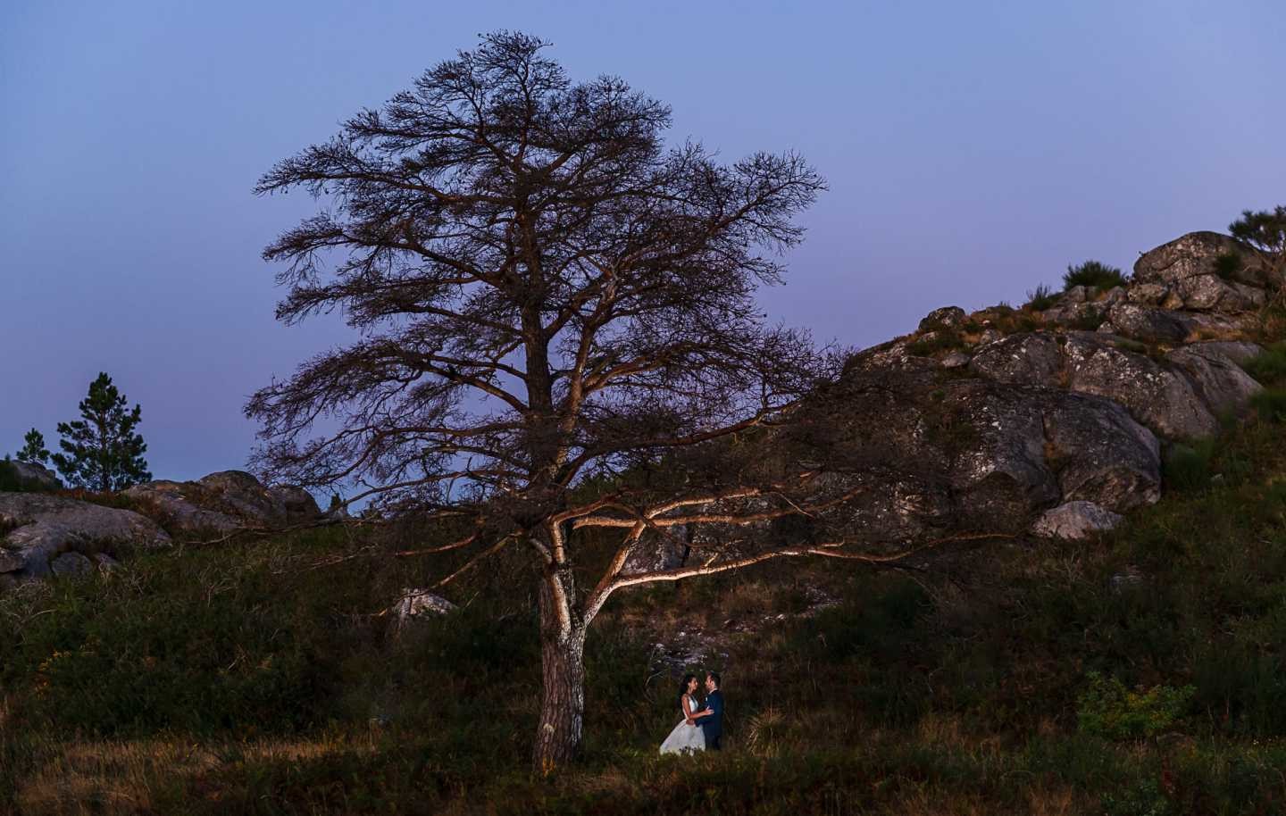 Noivos a darem um abraço debaixo de uma árvore