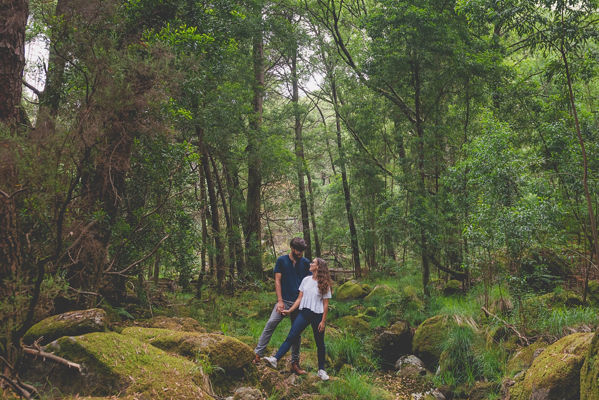 Casal em cima de um ramo de árvore e a olharem um para o outro