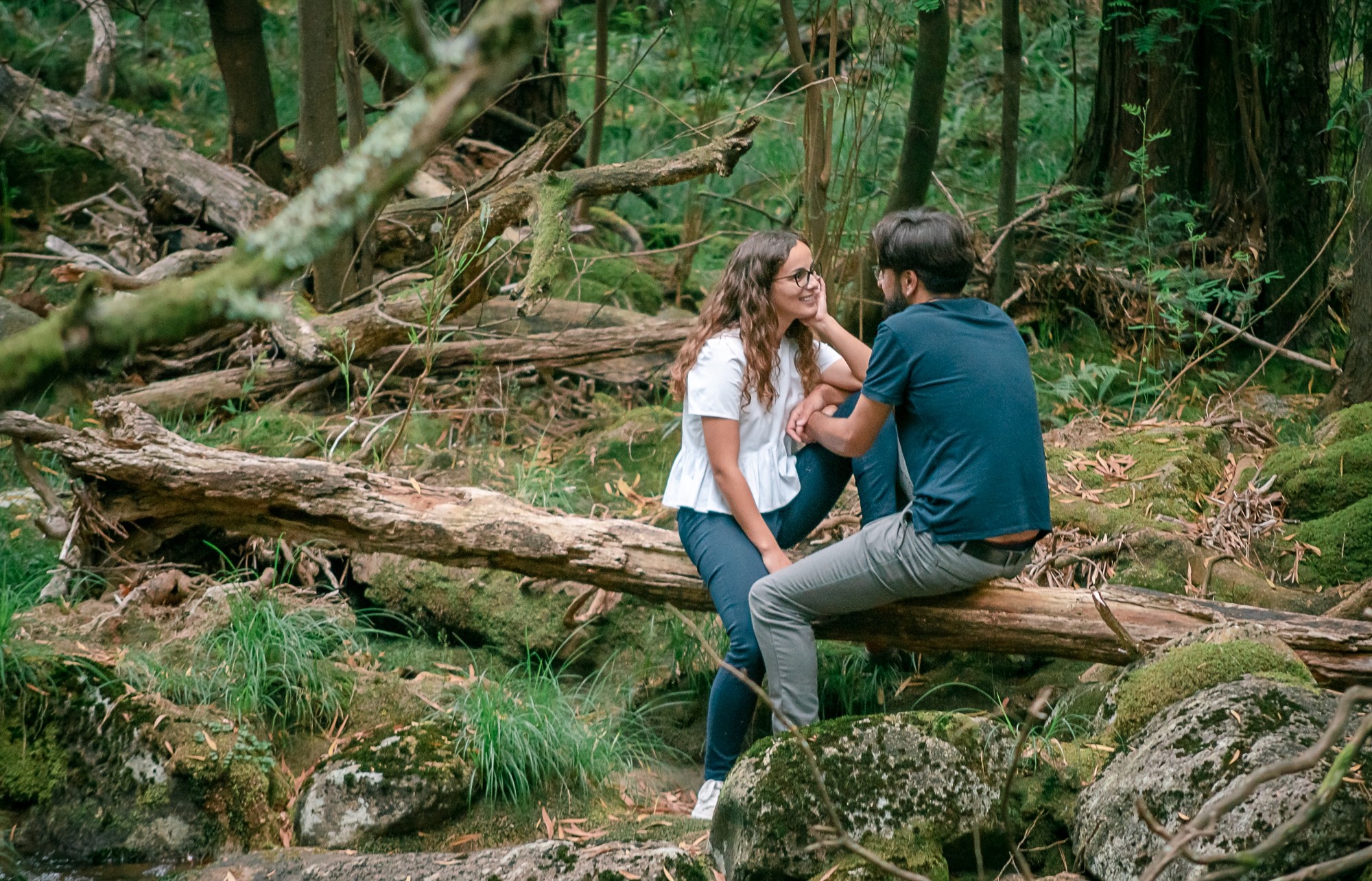 Casal a conversar e sentados num ramo de árvore