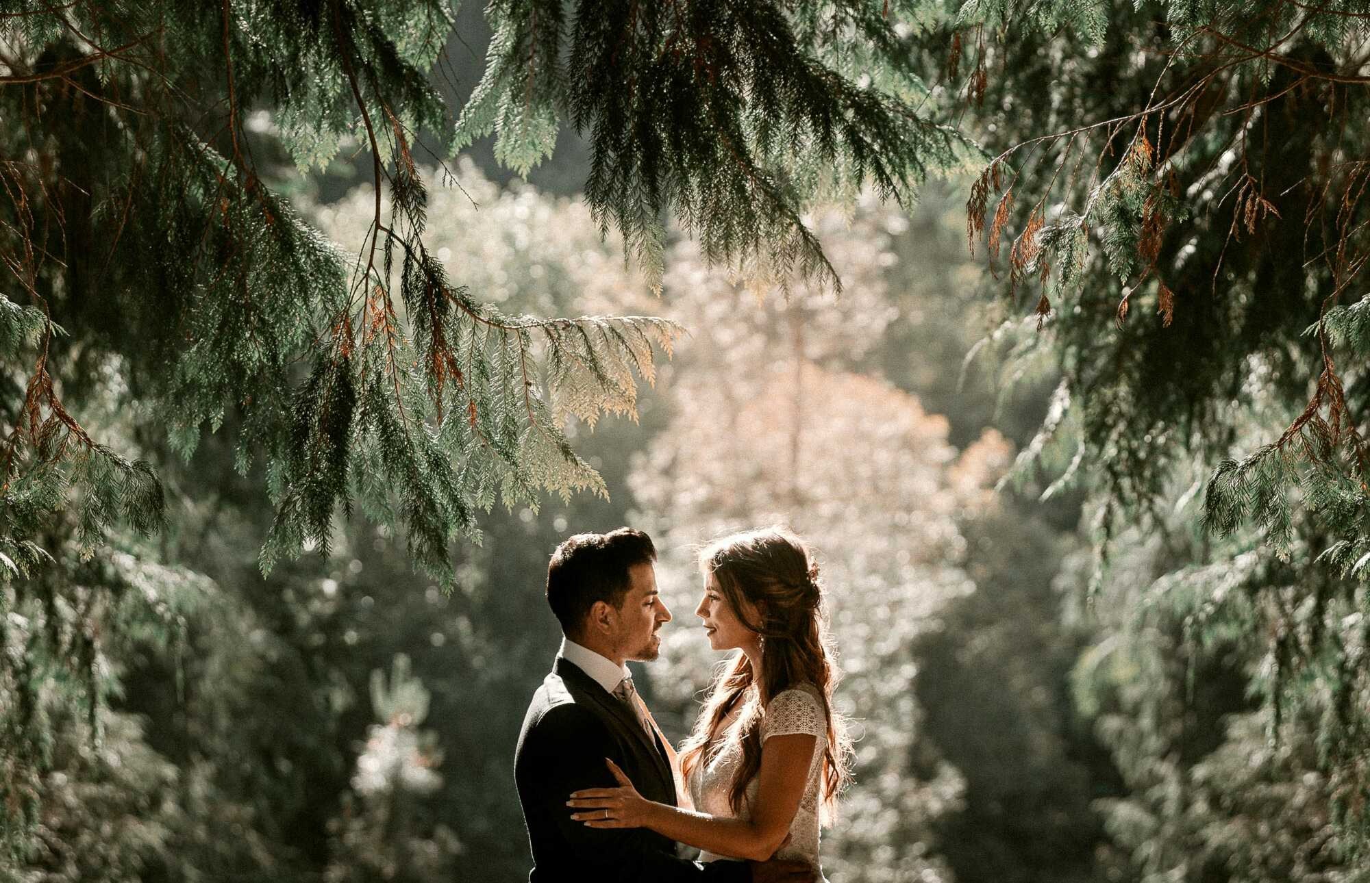 Pós Casamento :: Noivos a olharem um para o outro embaixo de uma árvore