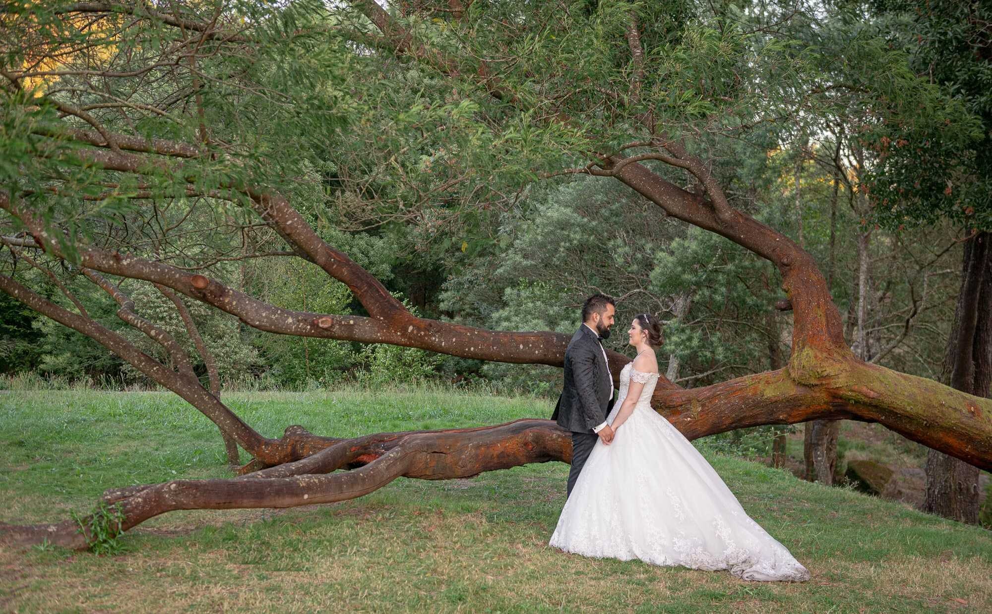 Pós Casamento :: Casal de mãos dadas frente a frente a beira da árvore