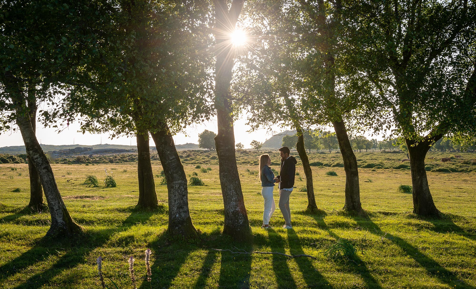 Casal entre as árvores a dar as mãos