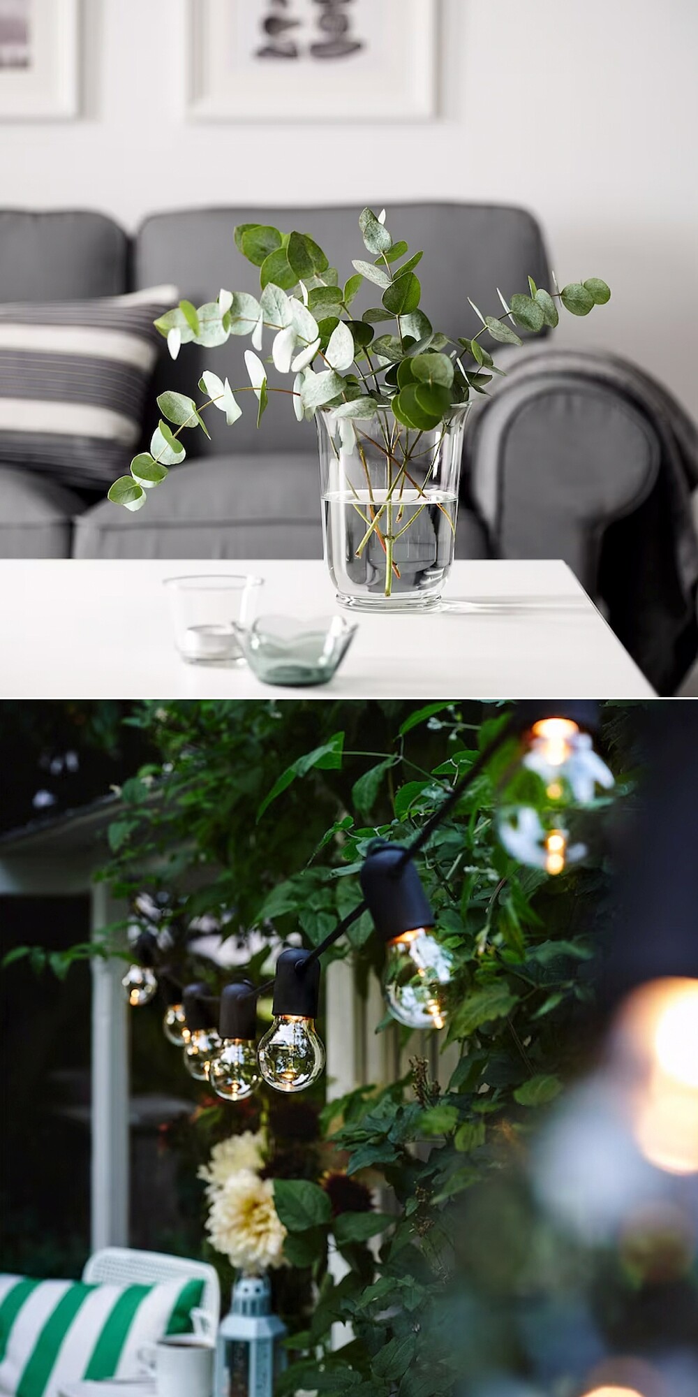 Jarro de vidro de flores, luzinhas pequenas para enfeite