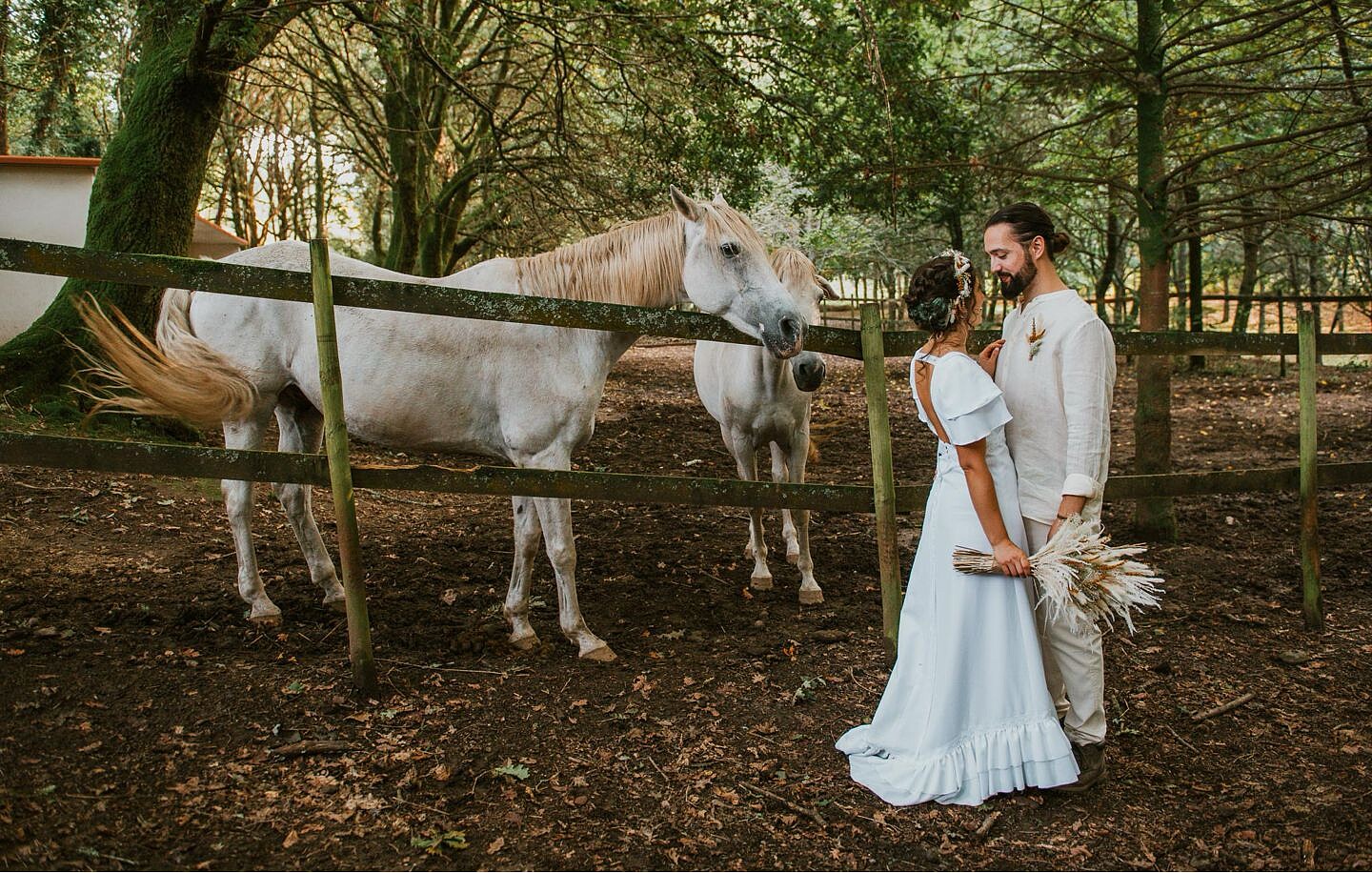 cavaloa a olhar os noivos vestidos de forma não convencional