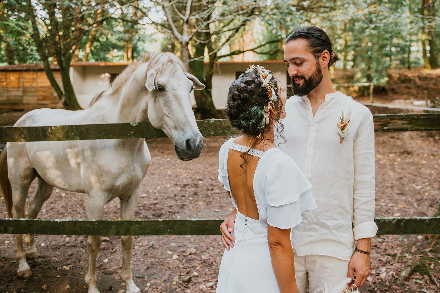 elopement com cavalo a olhar os noivos