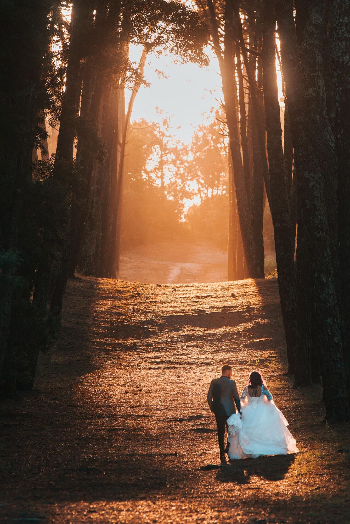 Noivos a caminhar em direção ao sol dourado do final da tarde