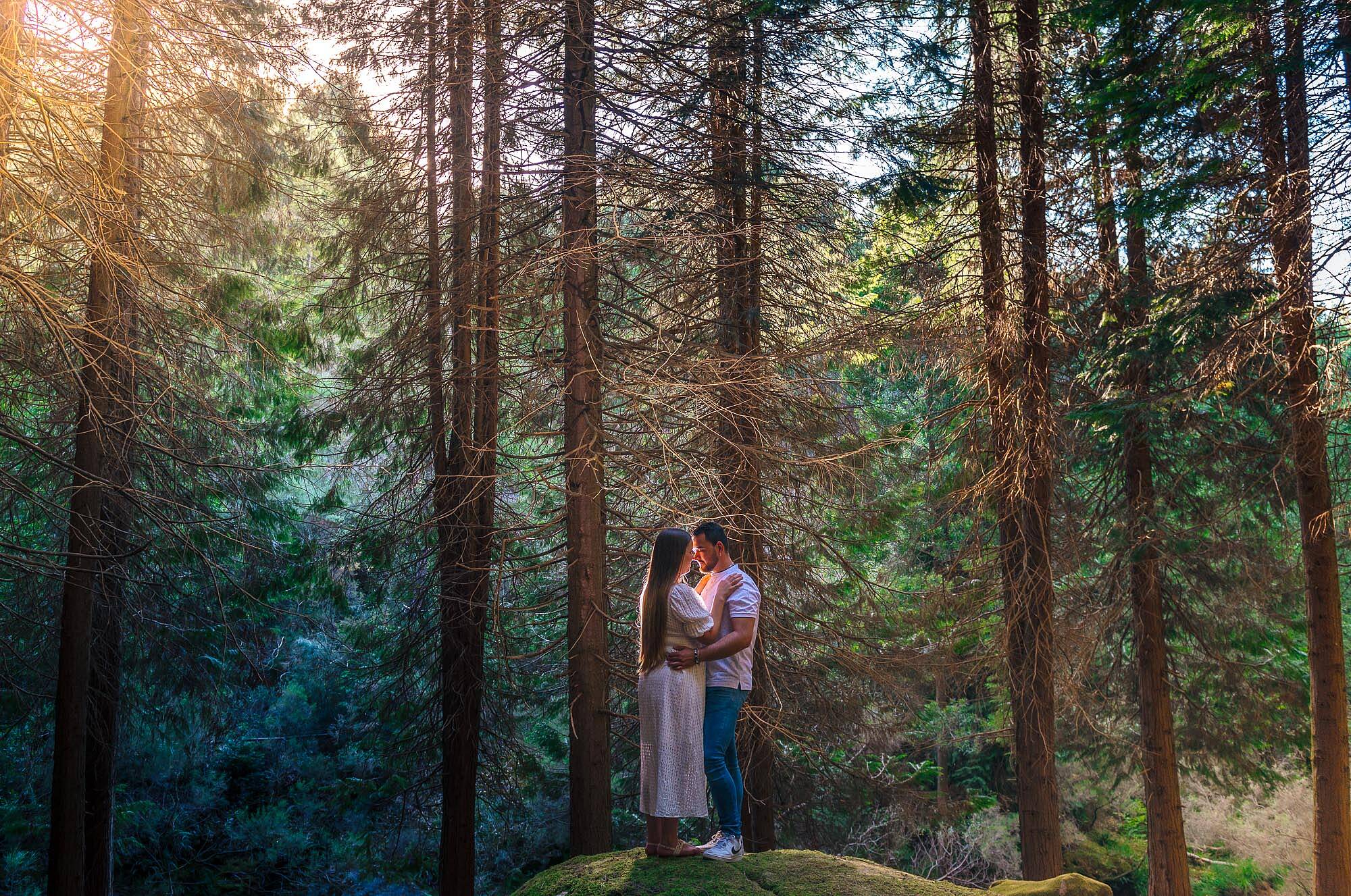 namorados em pose romântica no meio dos pinheiros