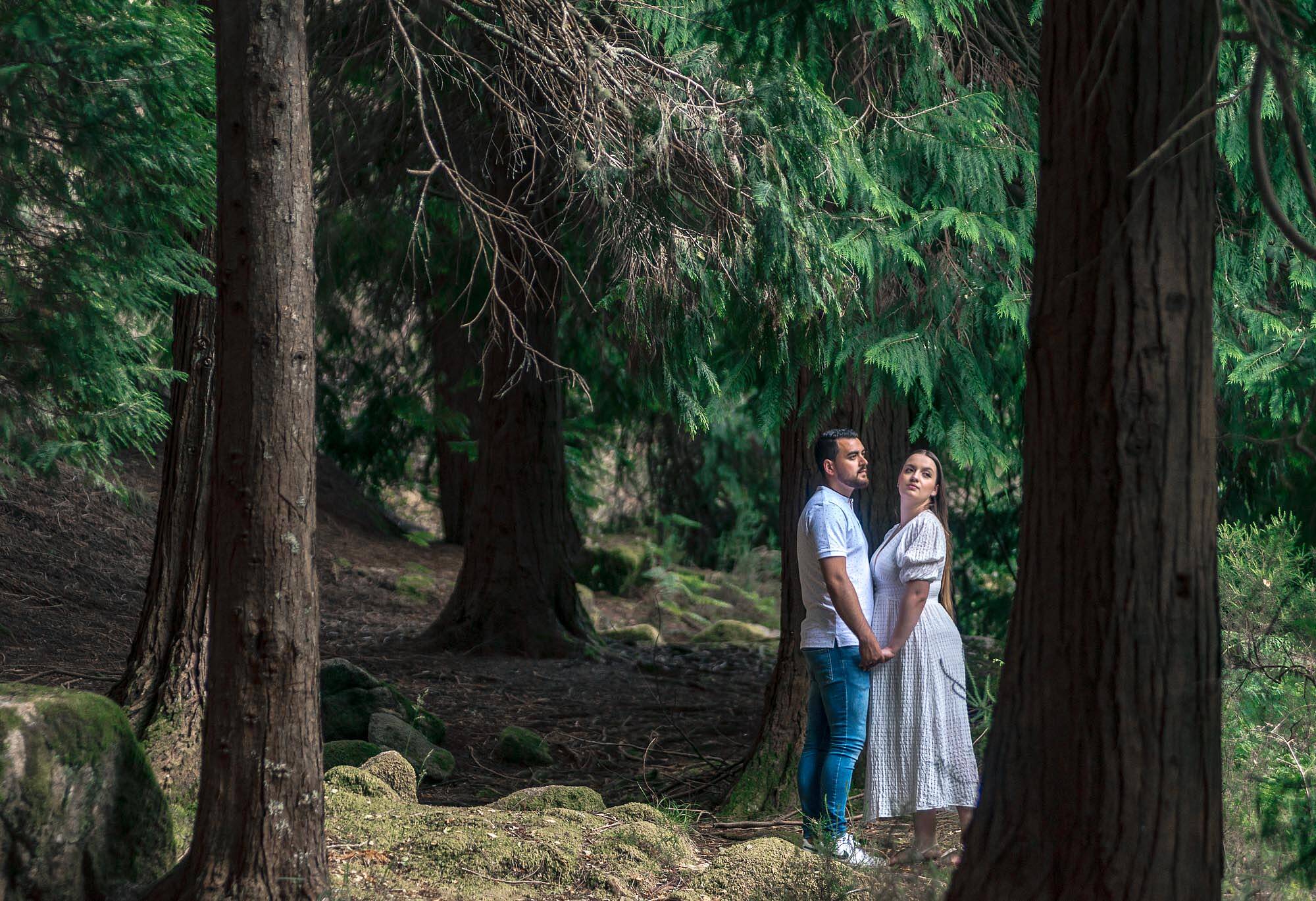 NAMORADOS NO MEIO DE ZIMBROS