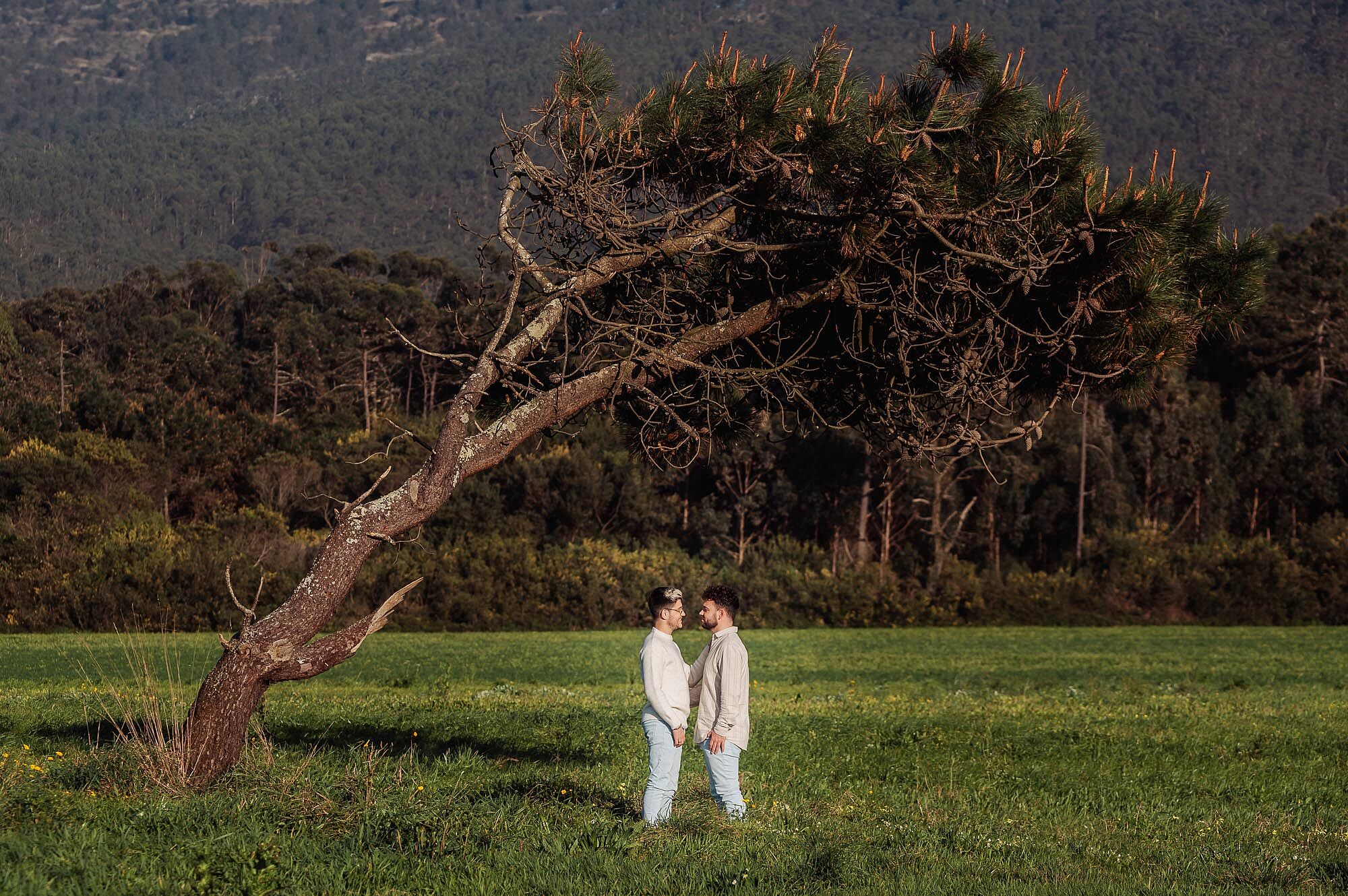 casal de namorados debaixo de arvore em um extenso campo de erva