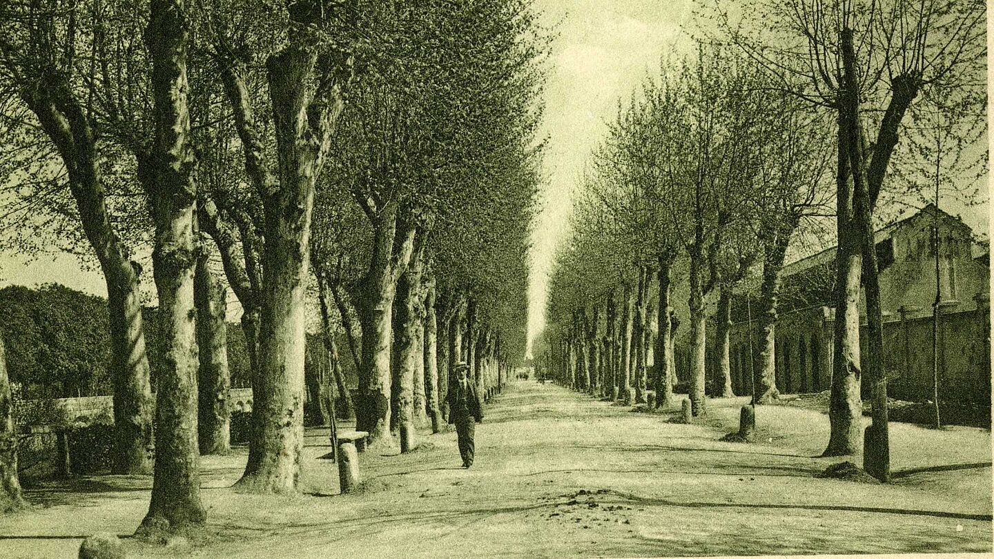 Lodi - Passeggio Esterno poi Viale Pavia (attuale Viale Agnelli e Via Vignati)