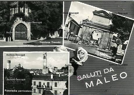 Maleo - Cartolina (anni 50)
