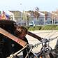 thumb_IMGL8923_1024