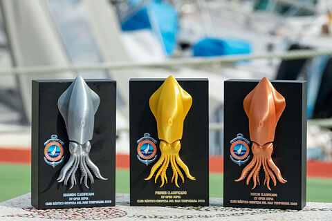 2026-02-01 XV OPEN SEPIA