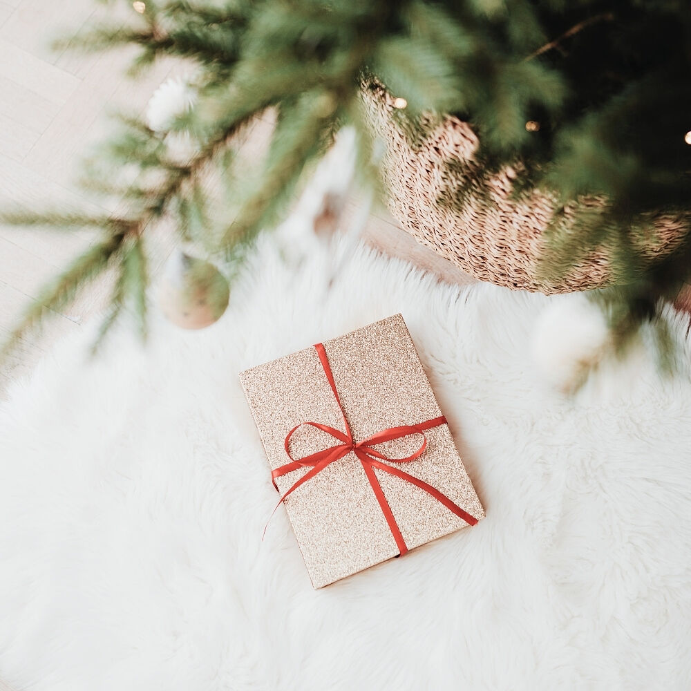 Marta Fernández Gomariz - 1-ts20251122140900921570.jpg