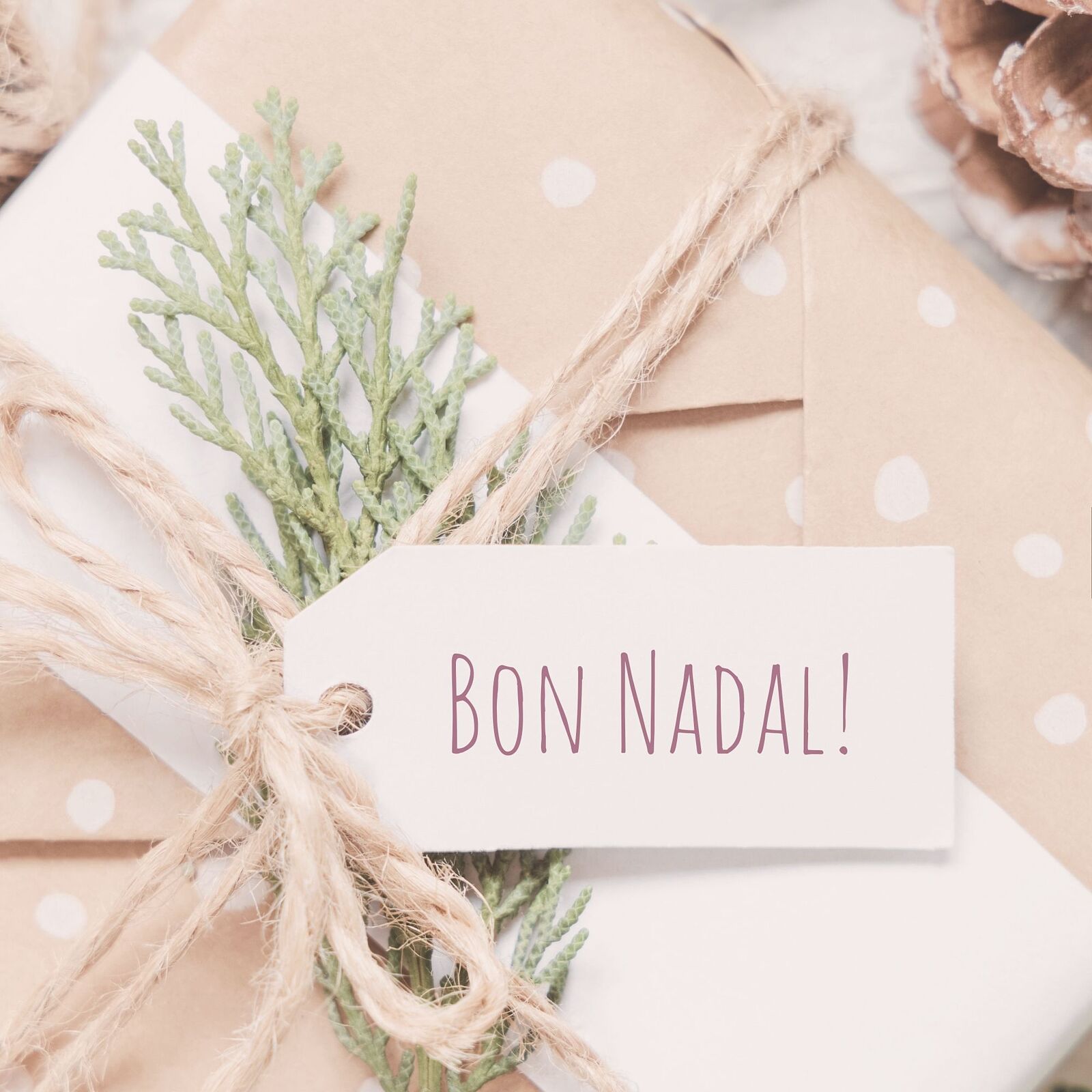 Marta Fernández Gomariz - para-ts20251121175207705856.jpg