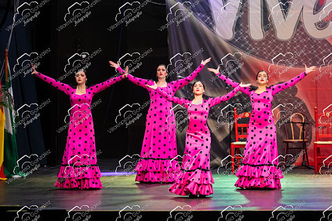 Gala 2/13.30h / Flamenco 