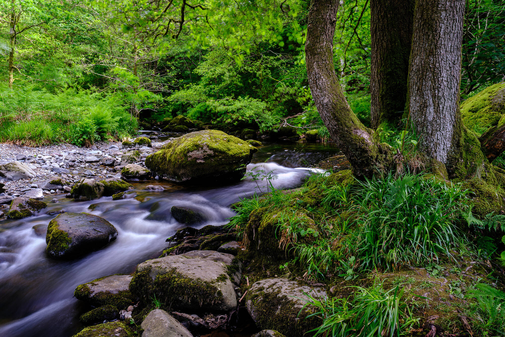 20240611-JVH28280-RAF