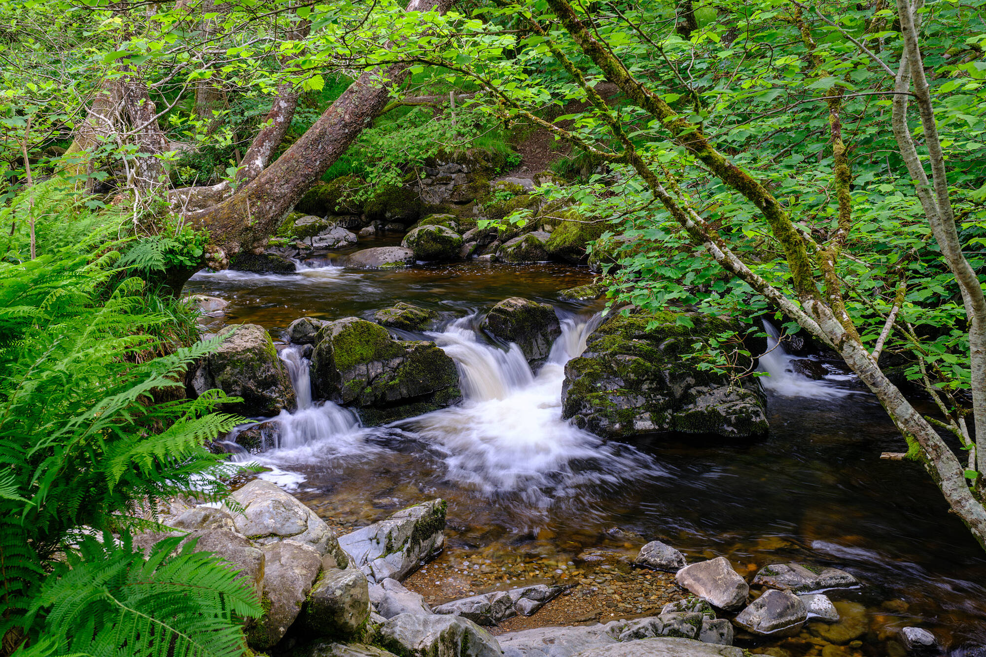 20240611-JVH28310-RAF