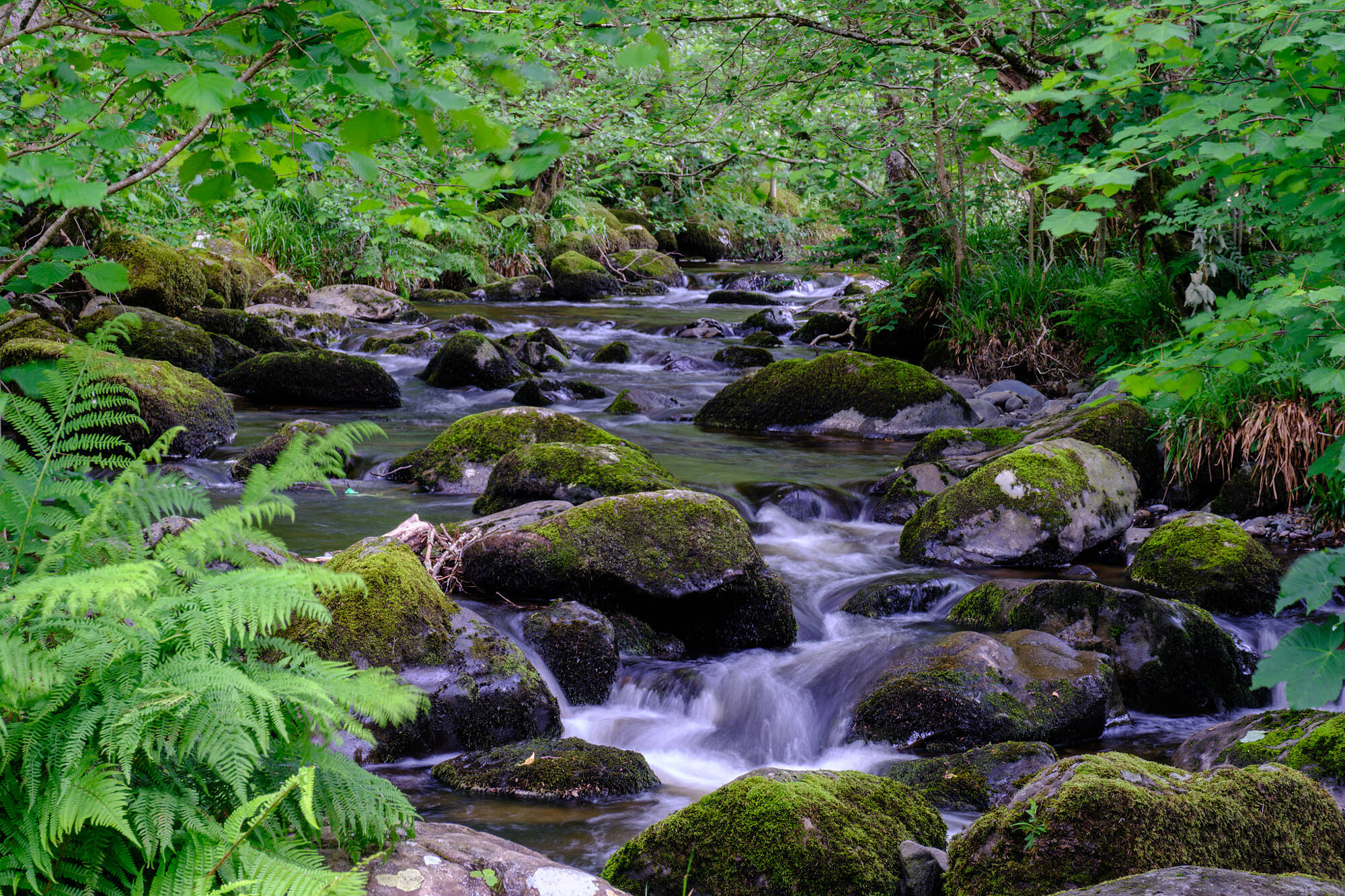 20240611-JVH28325-RAF