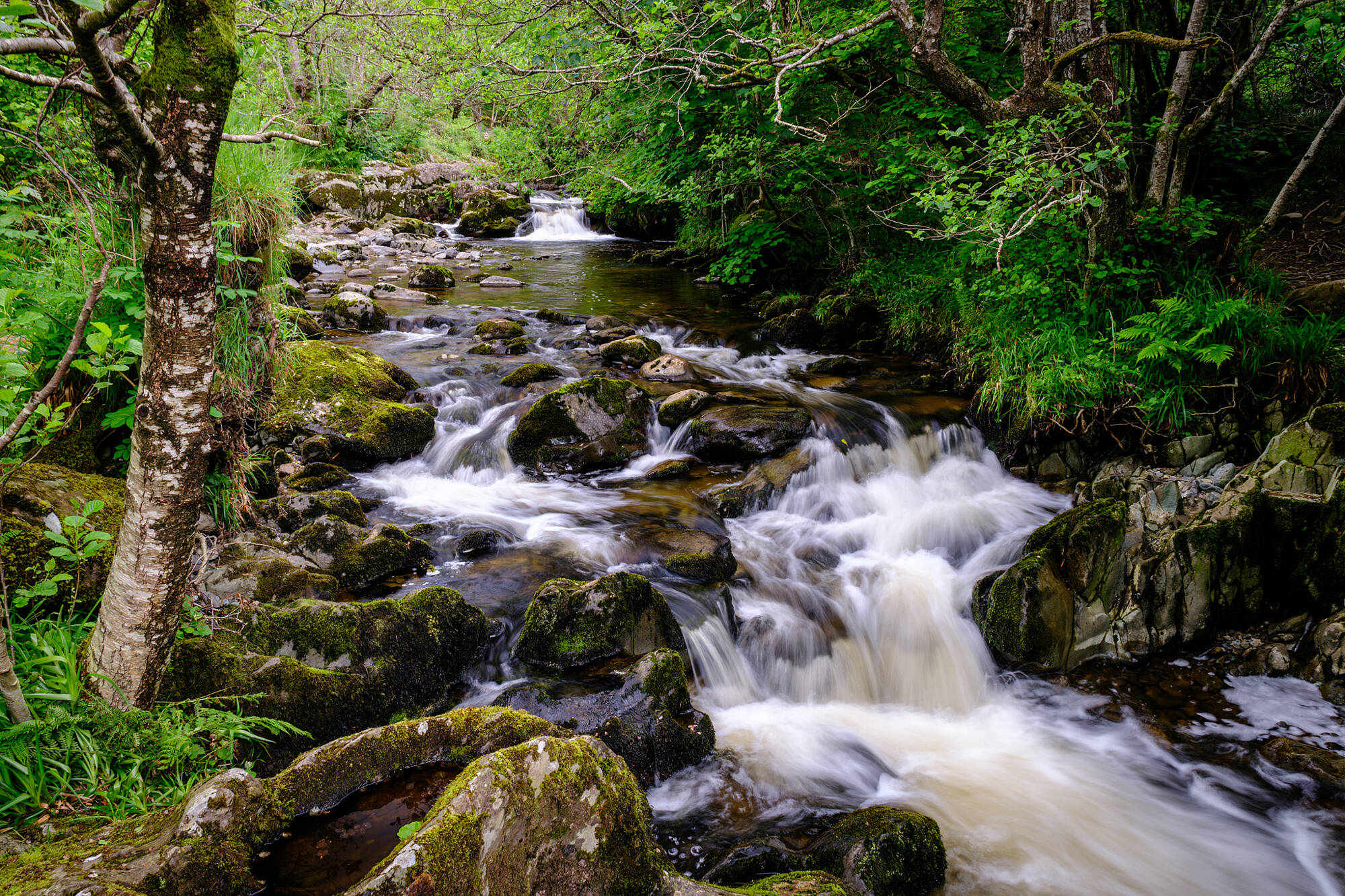 20240611-JVH28329-RAF