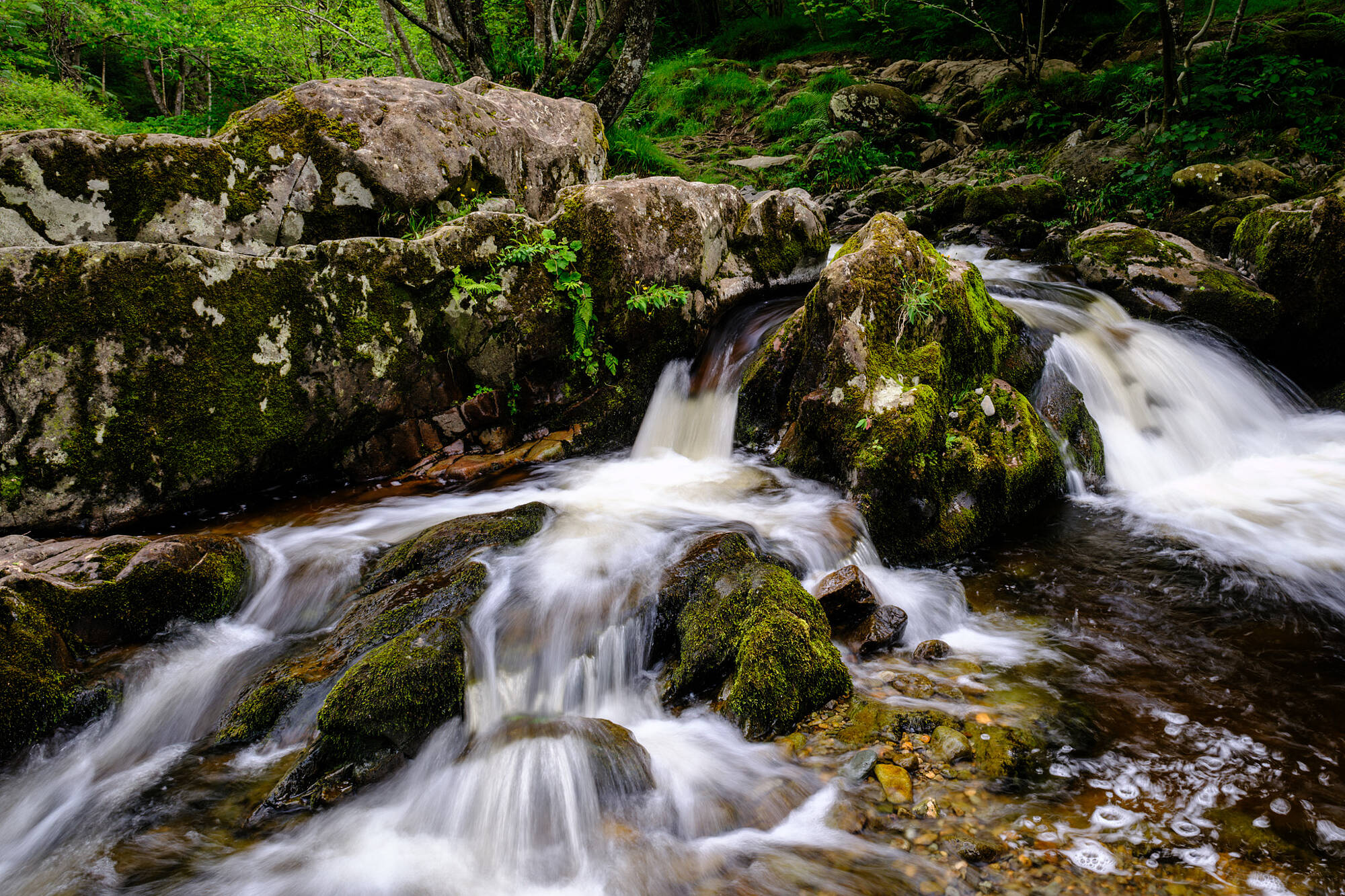 20240611-JVH28334-RAF