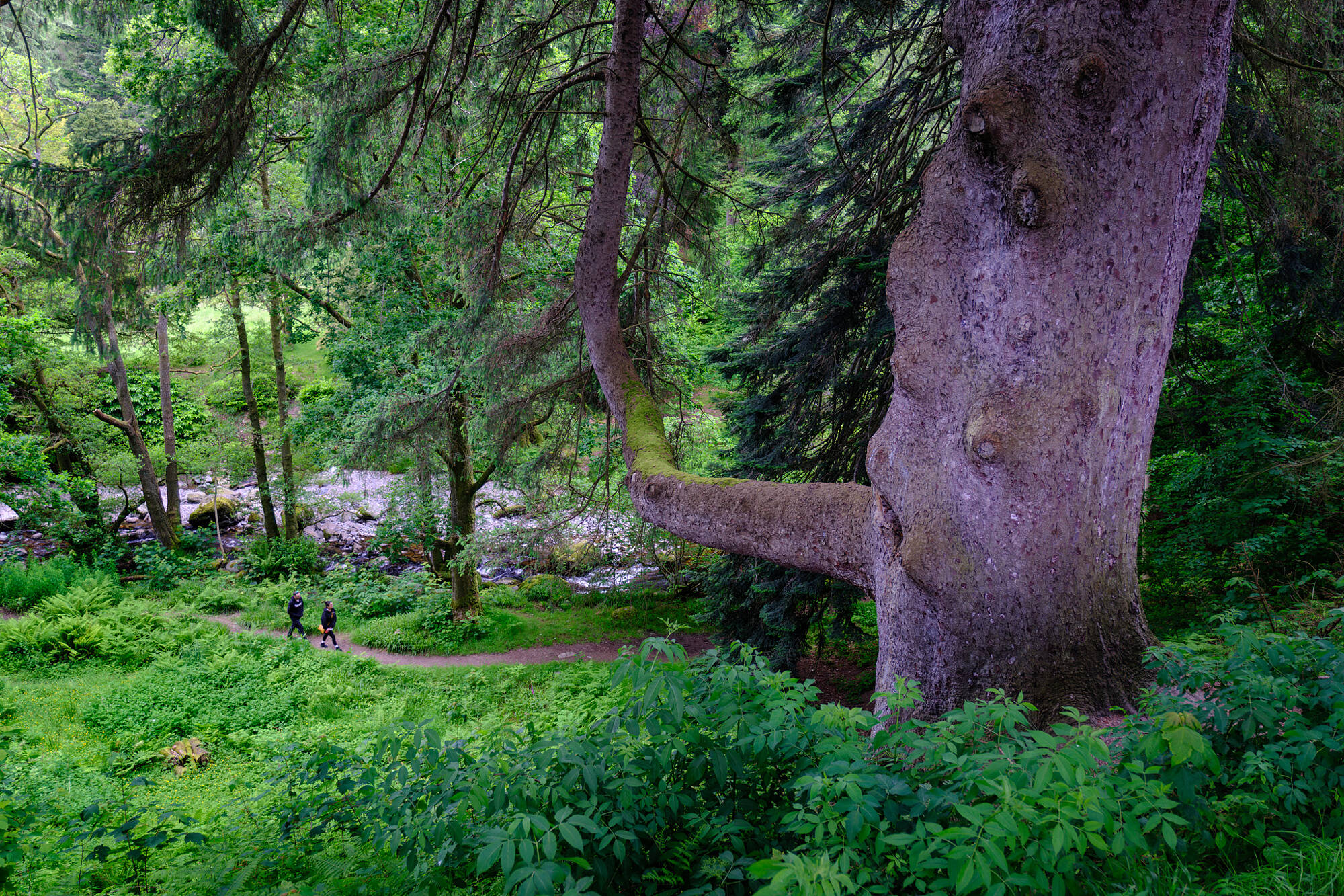 20240611-JVH28354-RAF