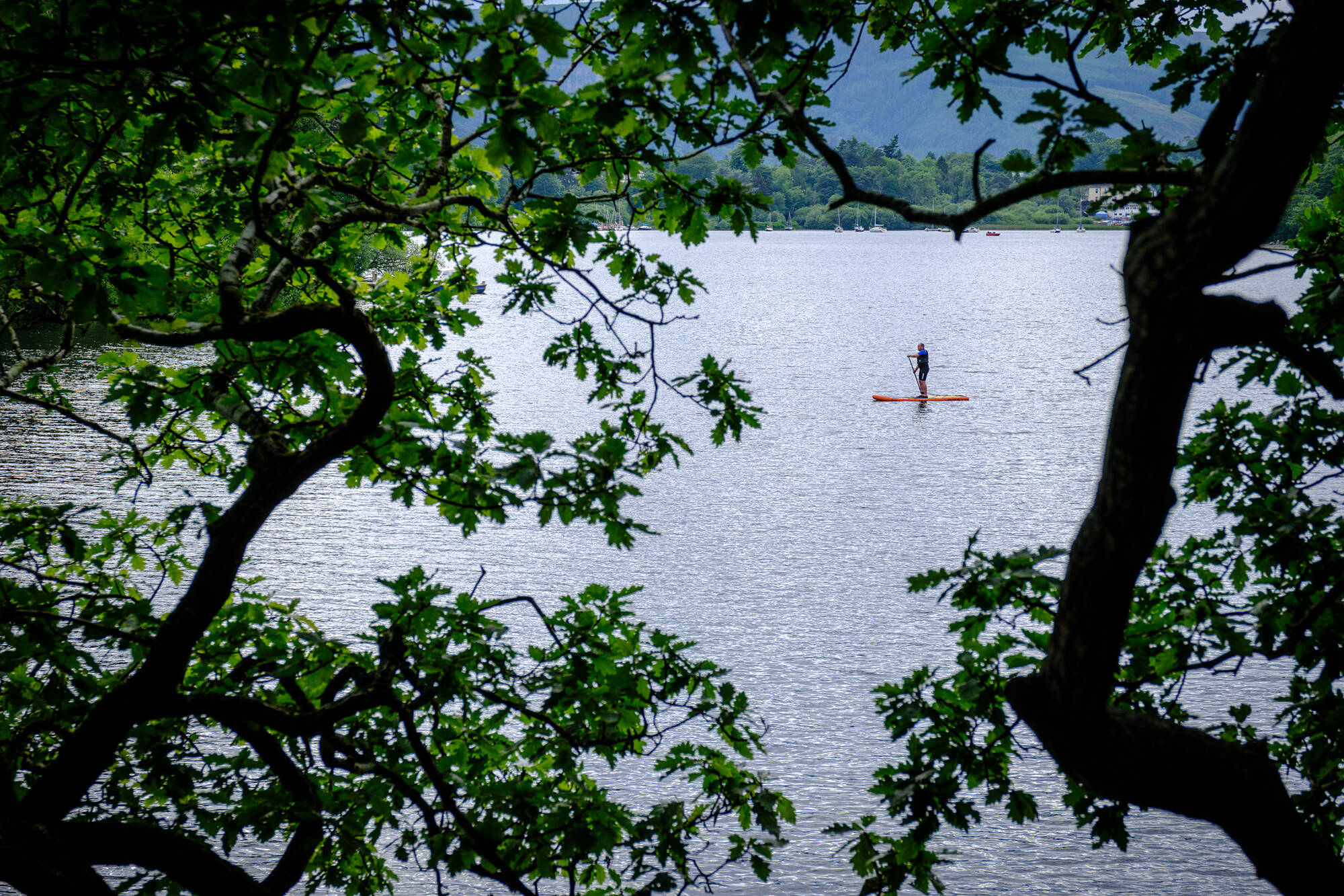 20240611-JVH28471-RAF