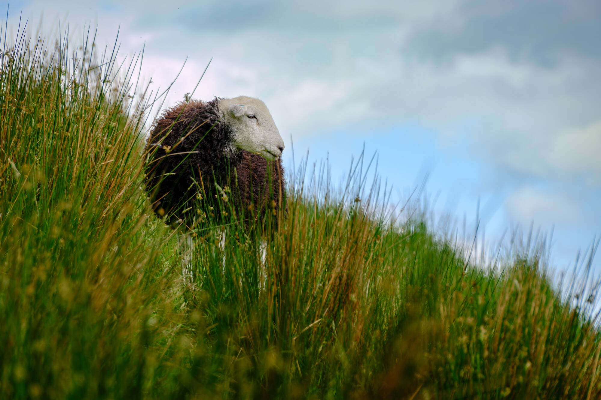 20240612-JVH28488-RAF