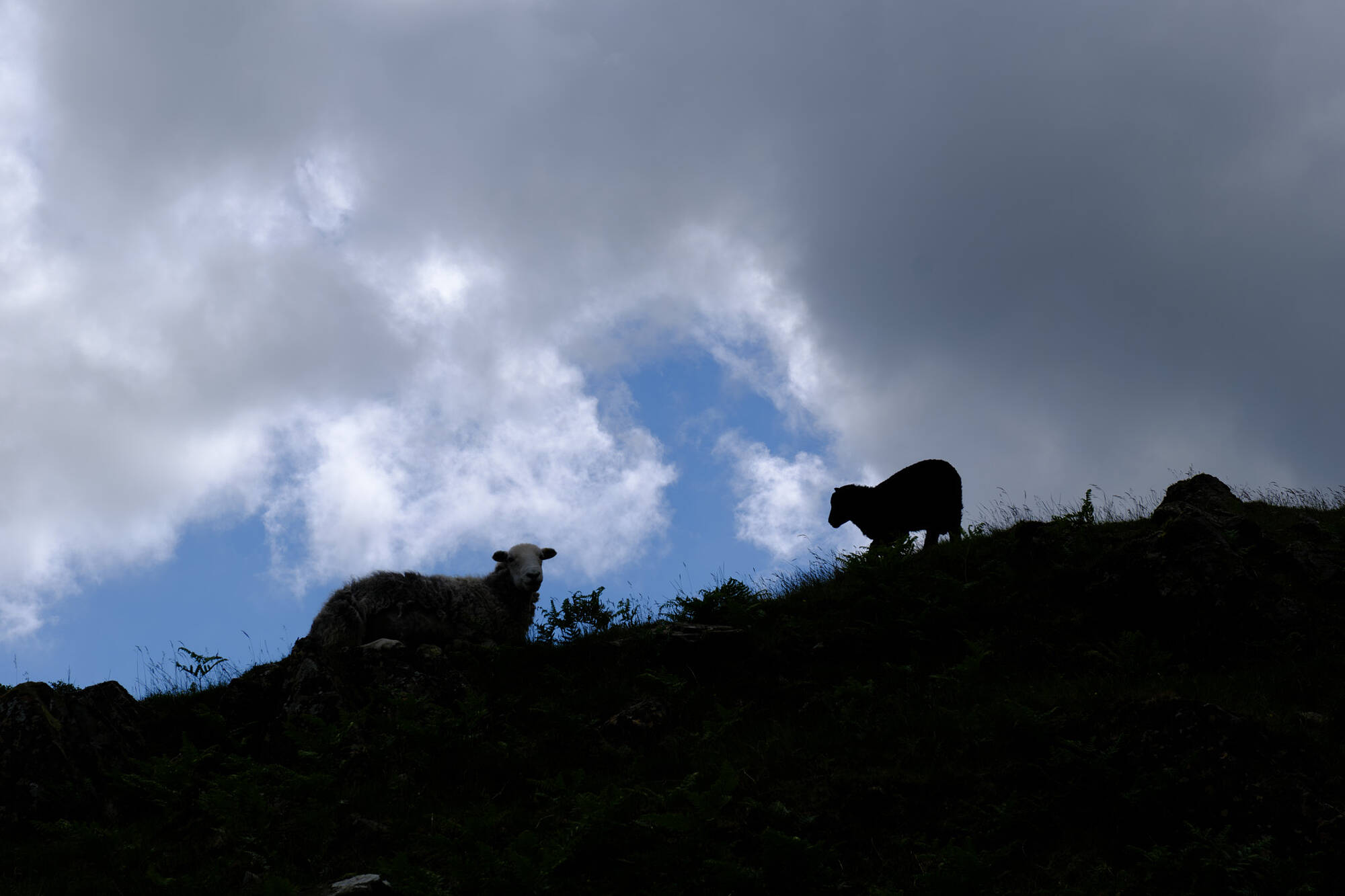 20240612-JVH28515-RAF