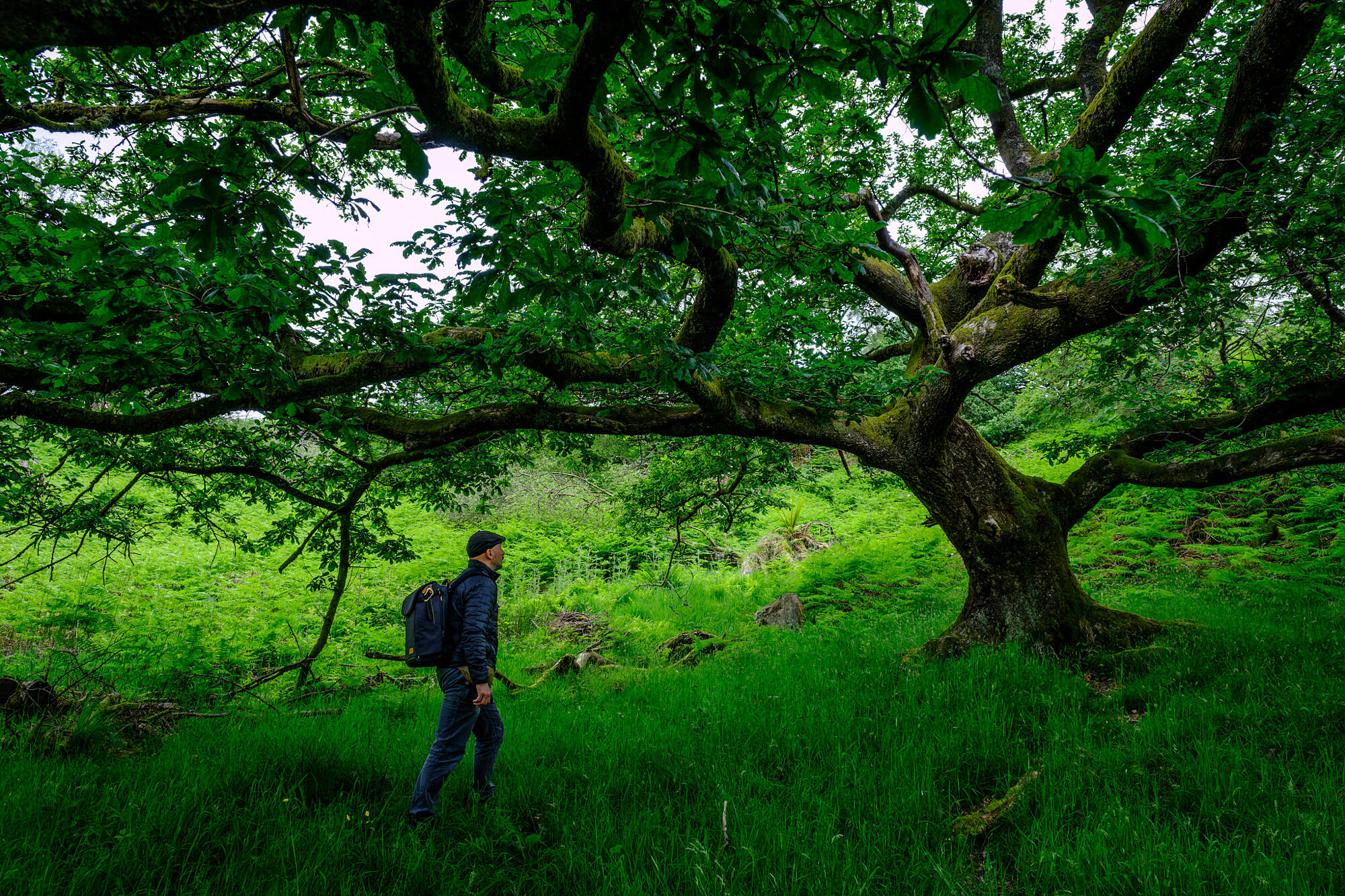 20240613-JVH28628-RAF