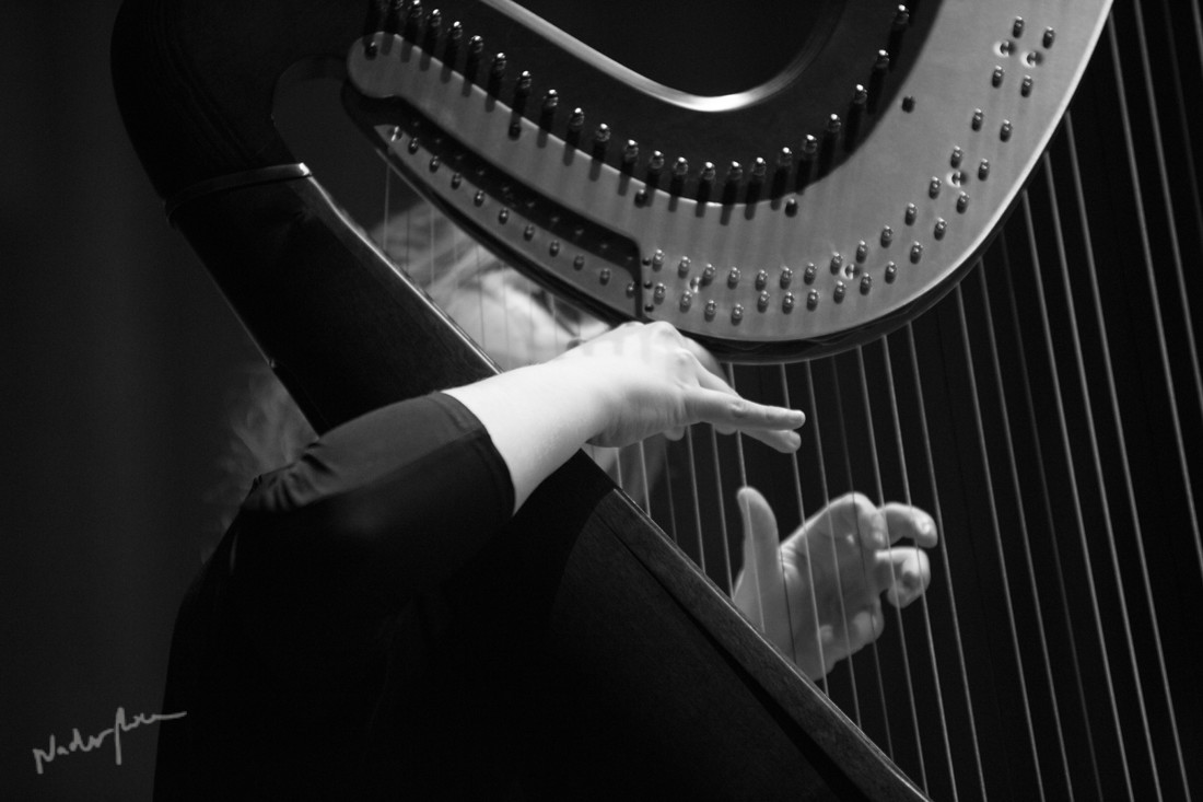 JOSB17-1415-AUDITORI-210317