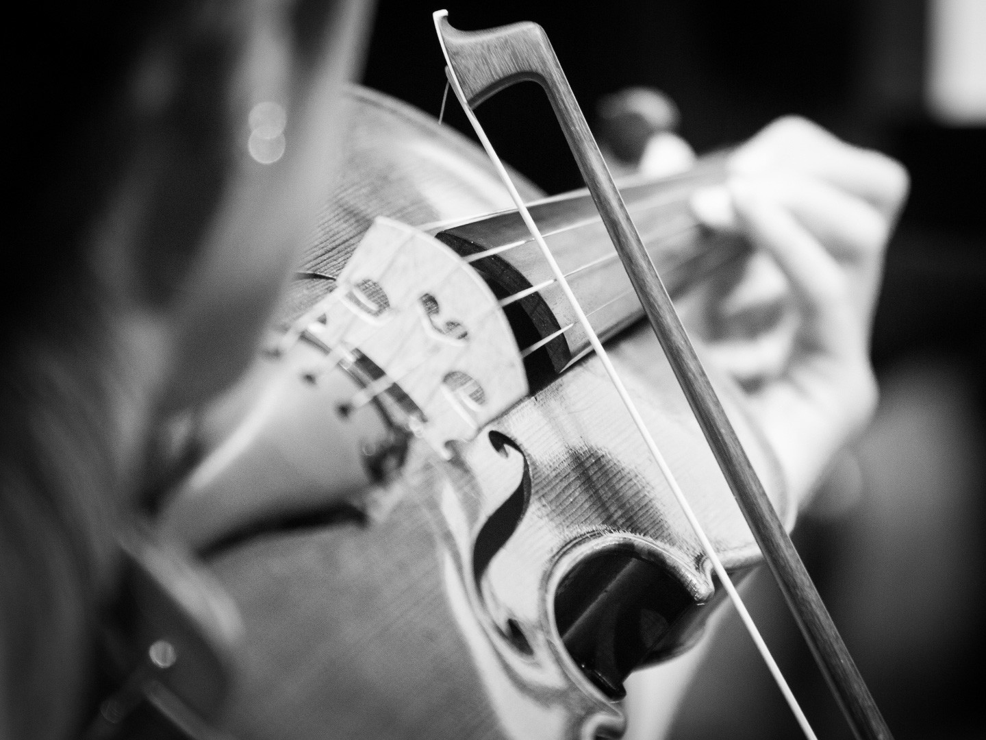 JOSB19-2526-AUDITORI-190203