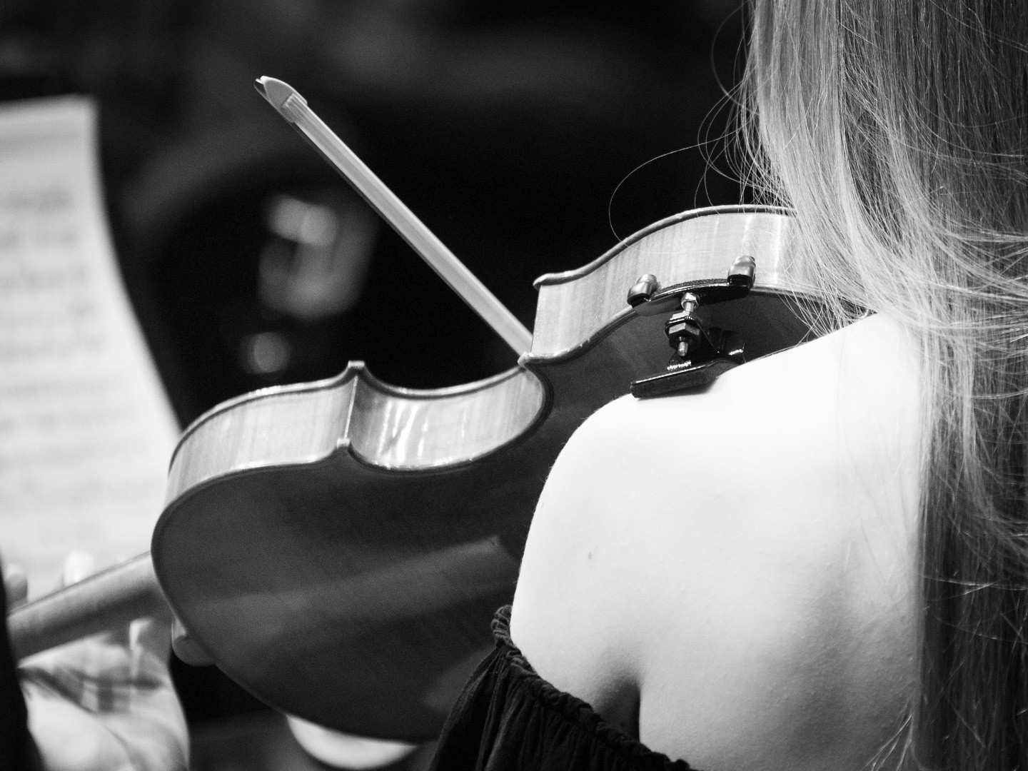 JOSB19-2669-AUDITORI-190203