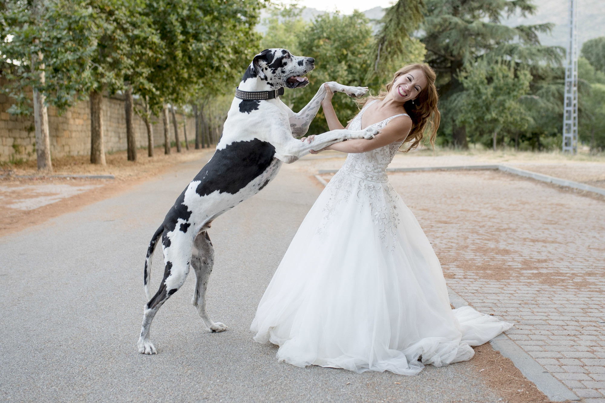fotografias boda postboda madrid 08