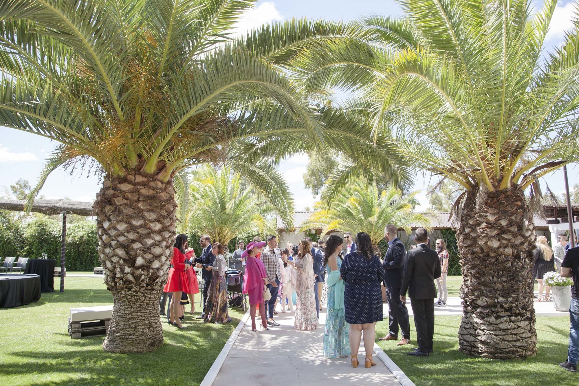 fotografos boda madrid inbodas (2)