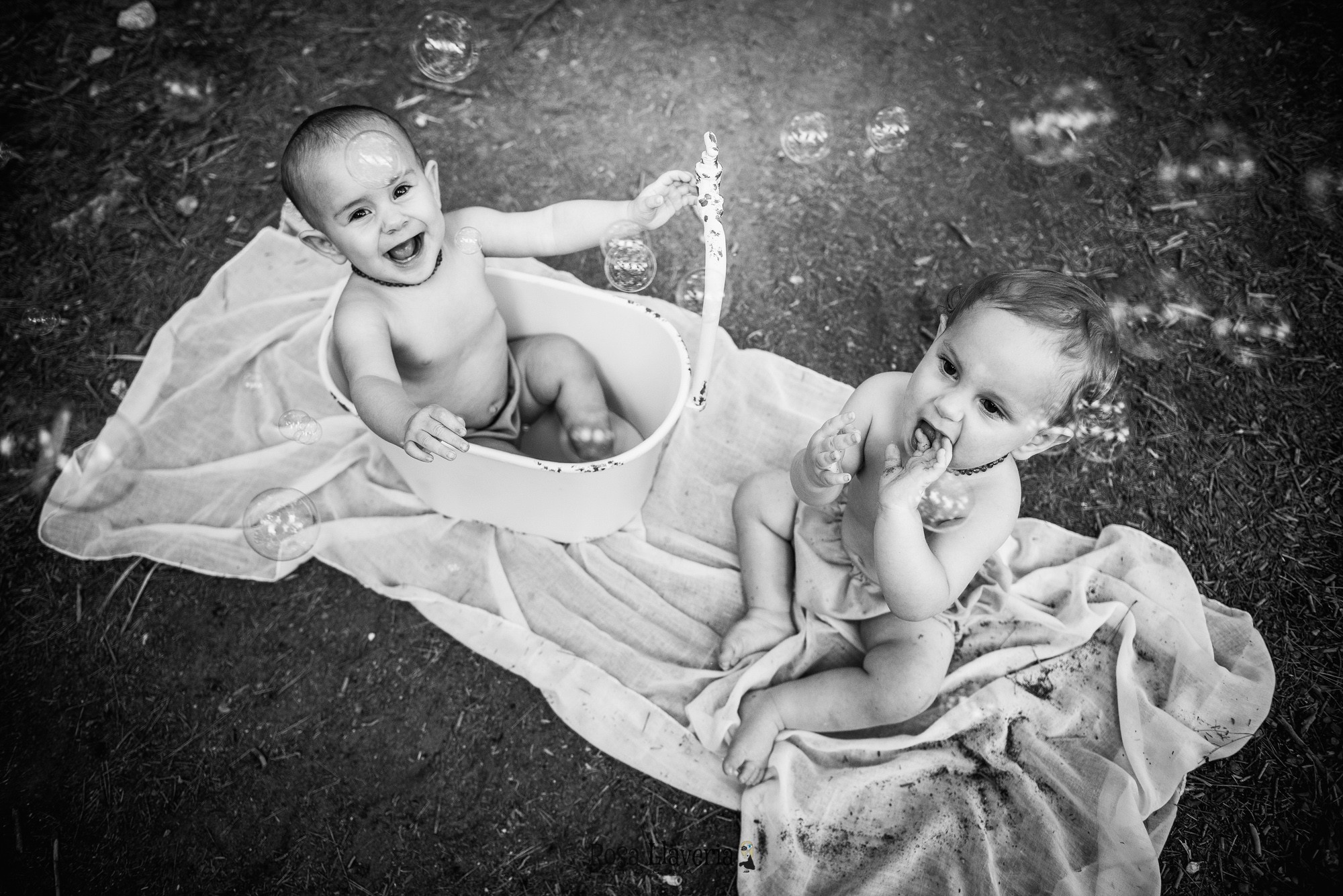 Smash cake exterior004