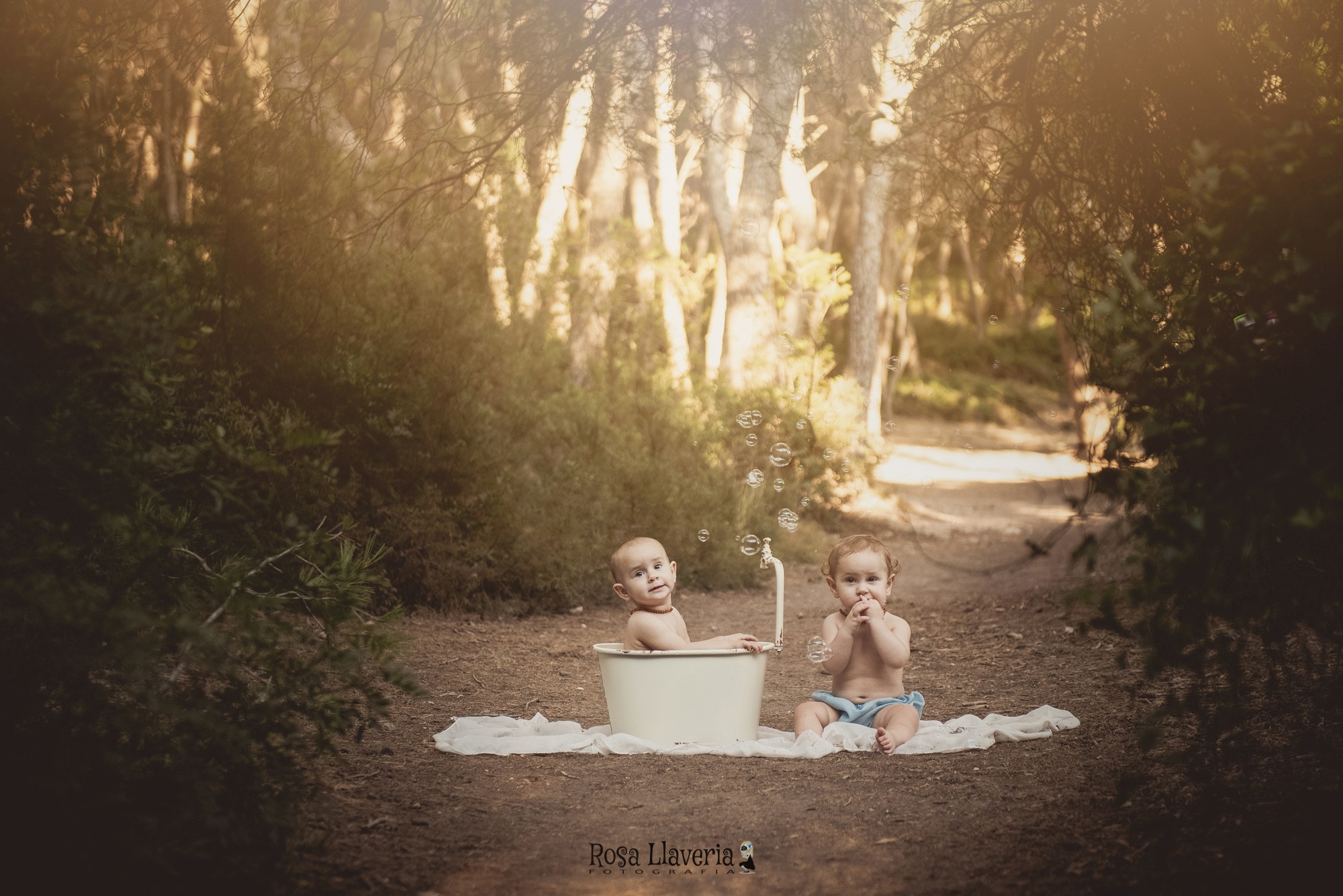 Smash cake exterior005