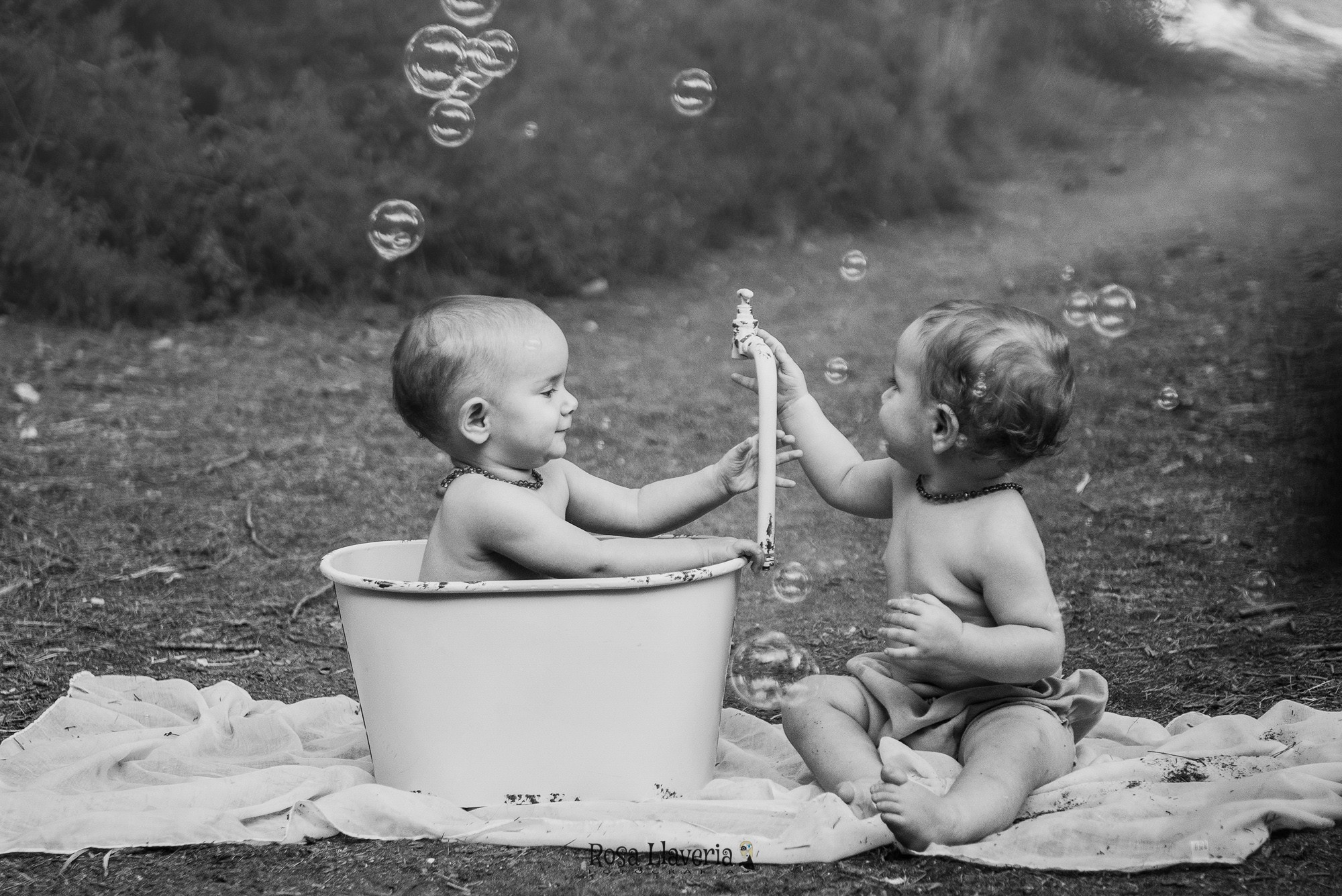 Smash cake exterior006