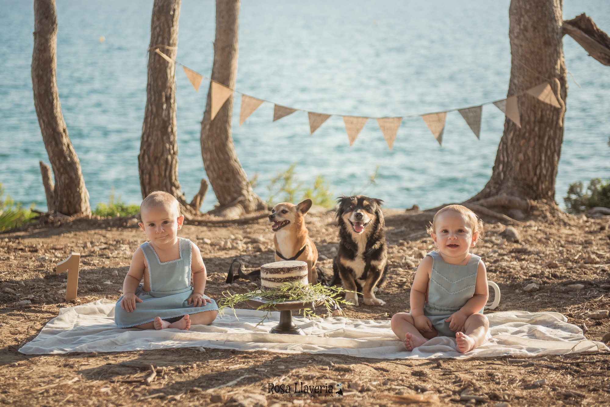 Smash cake exterior011