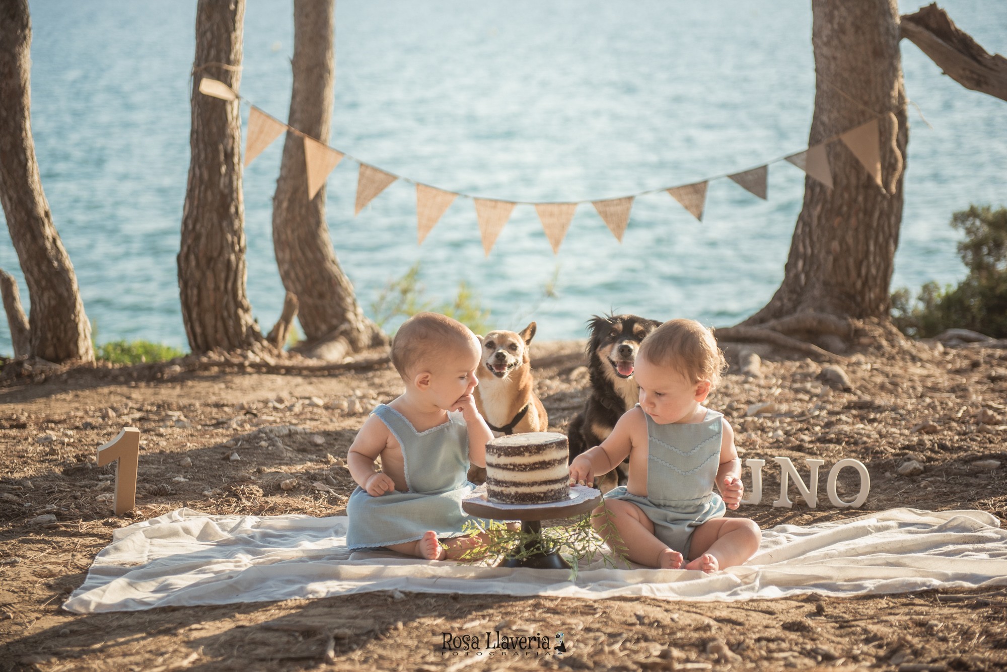 Smash cake exterior012