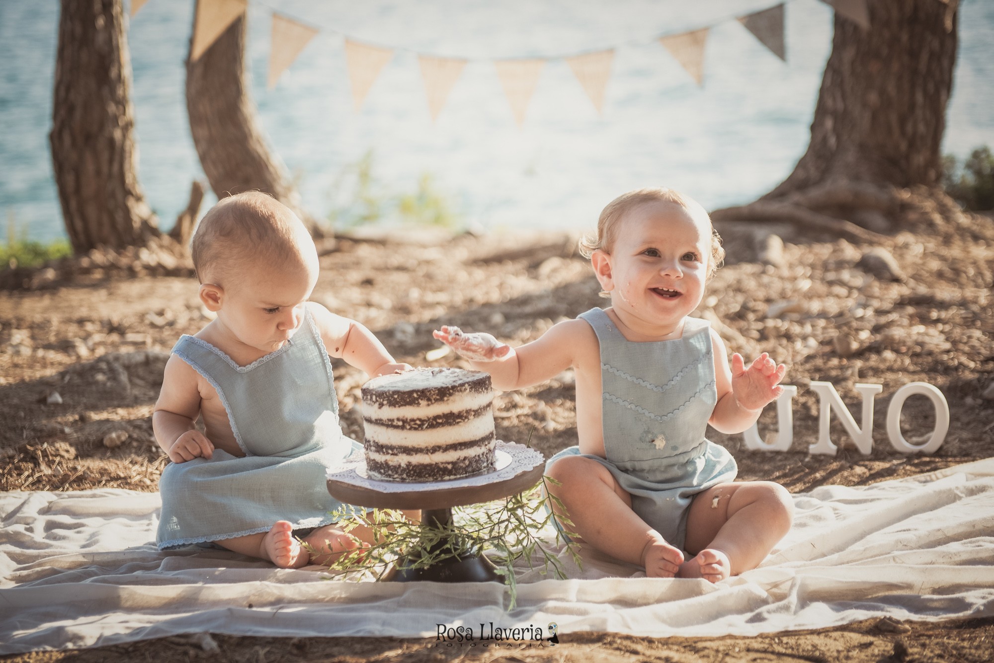 Smash cake exterior013