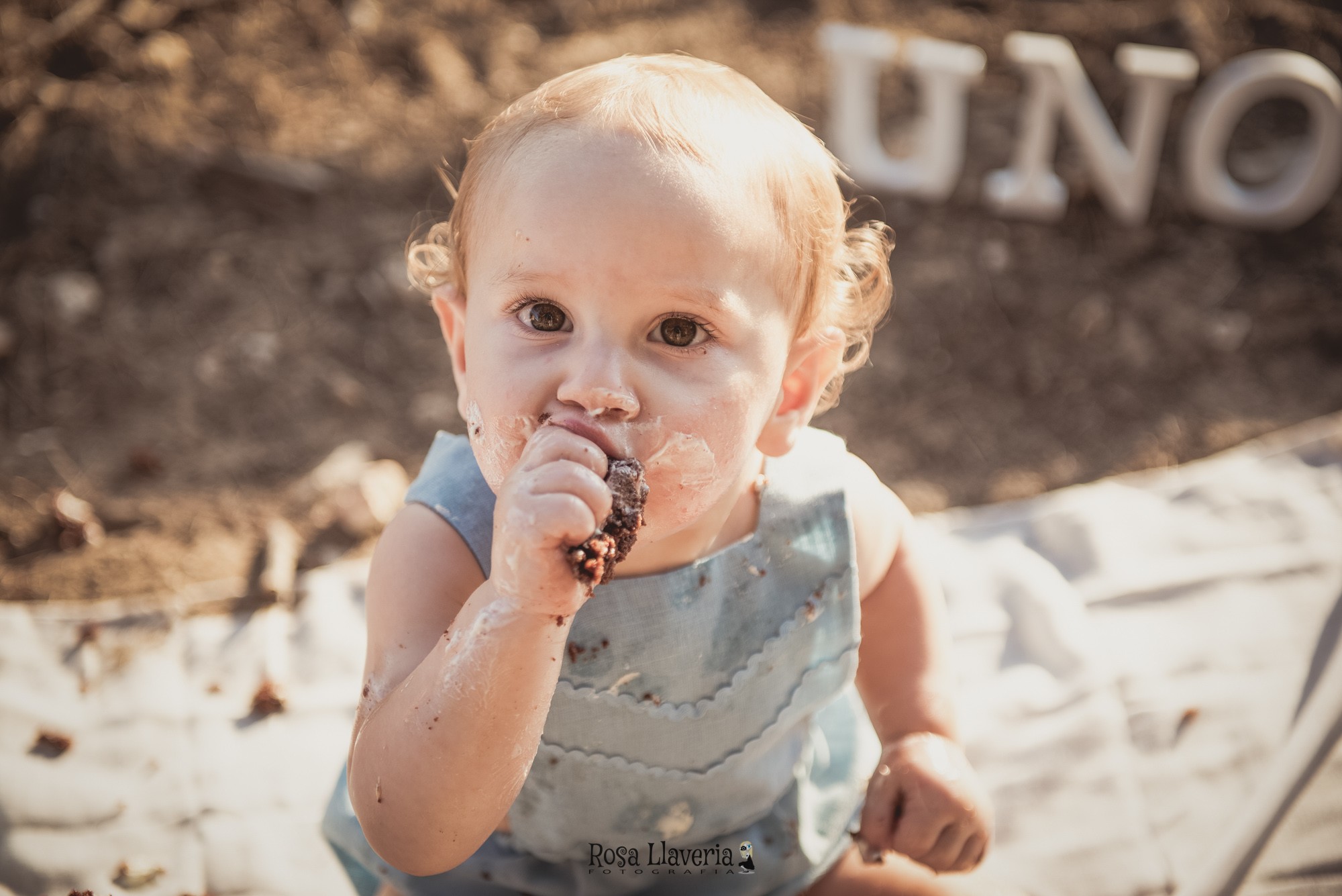 Smash cake exterior016