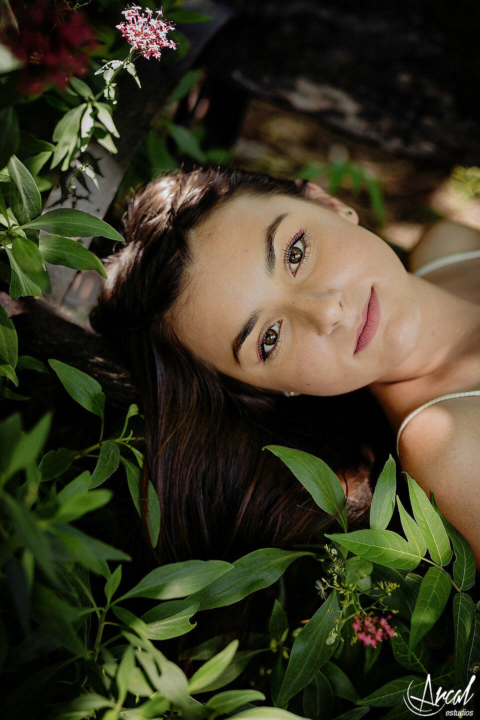 012-cata-succio-book-quincean-era-en-el-vivero-de-nora-fotos-en-campo-de-lavanda-domaine-de-puberclair-y-nebula-vin-edos-a-123791