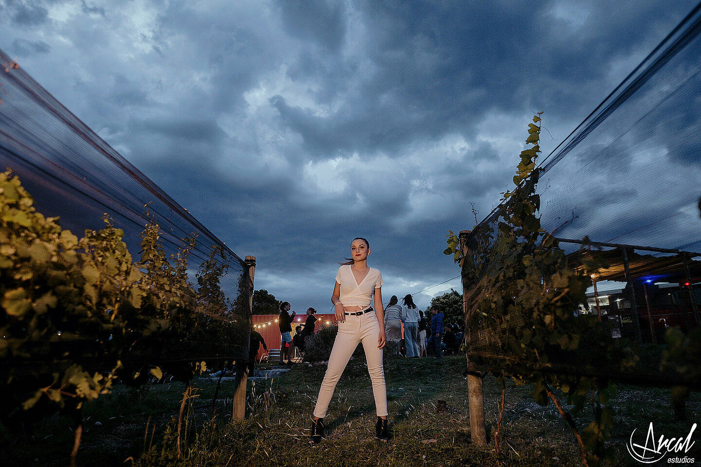090-cata-succio-book-quincean-era-en-el-vivero-de-nora-fotos-en-campo-de-lavanda-domaine-de-puberclair-y-nebula-vin-edos-a-123791
