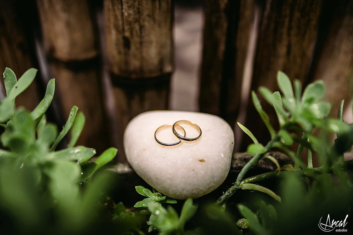 058_Carla y Guille, casamiento en pandemia, boda en estancia El Rosal de Agua de Oro, animación de Ramiro Buteler, fotografía de Arcal Estudios