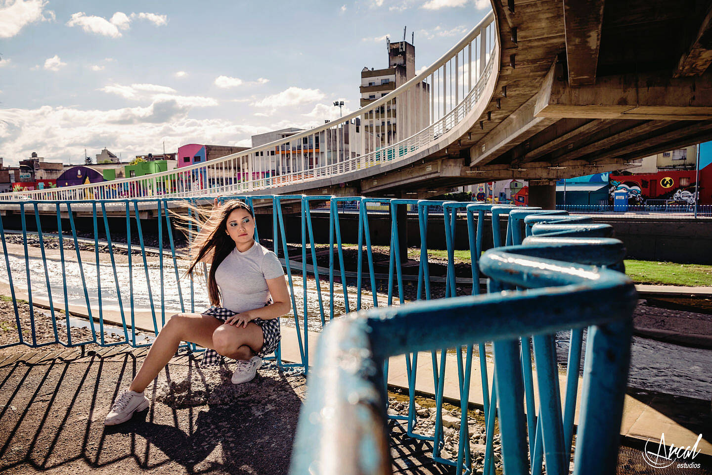 008-mile-nieto-book-de-quincean-era-en-puente-costanera-de-co-rdoba-gobernador-mestre-arte-urbano-murales-fotos-en-brindisi-cocktail-bar-a-134542