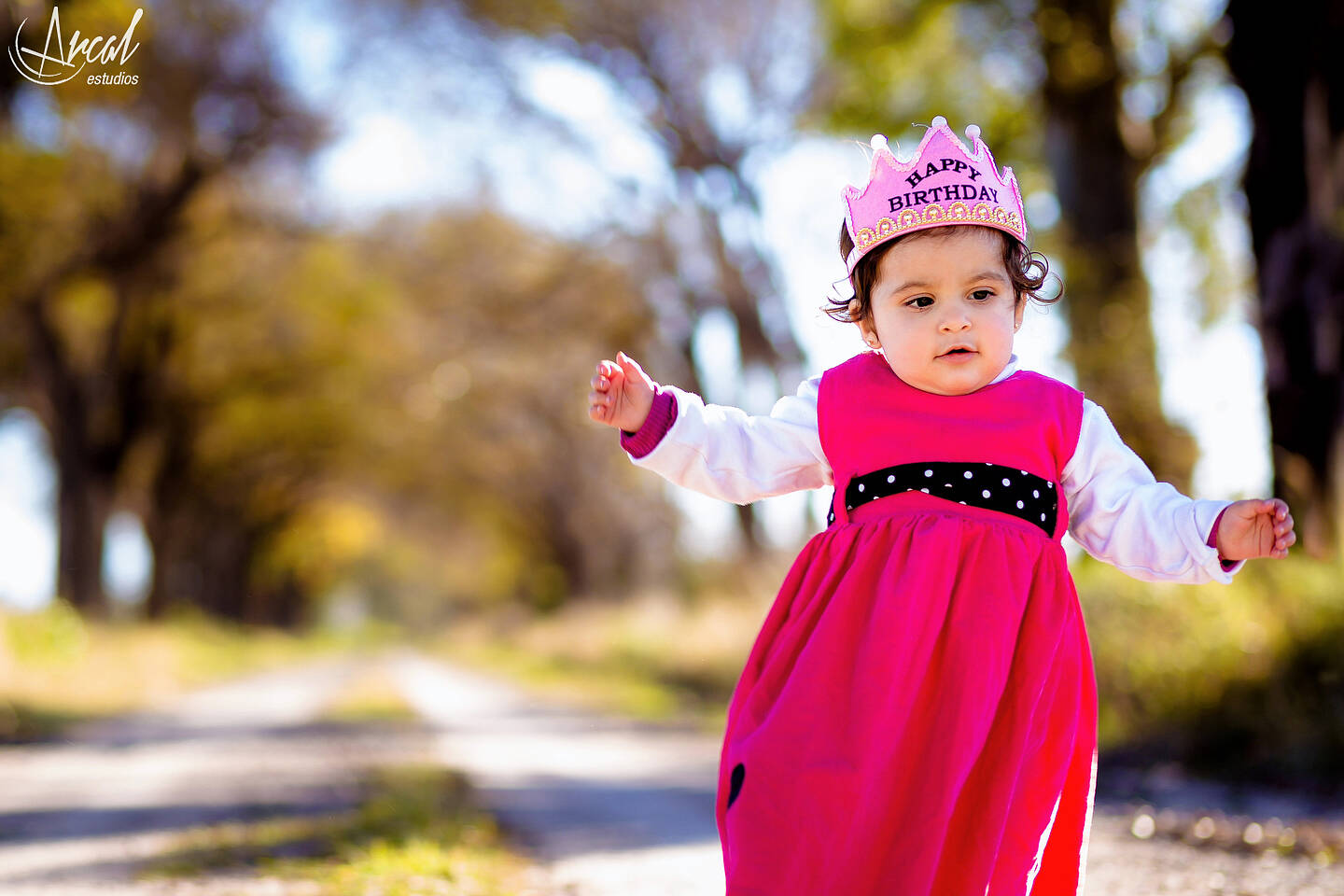 002_www.arcalestudios.com